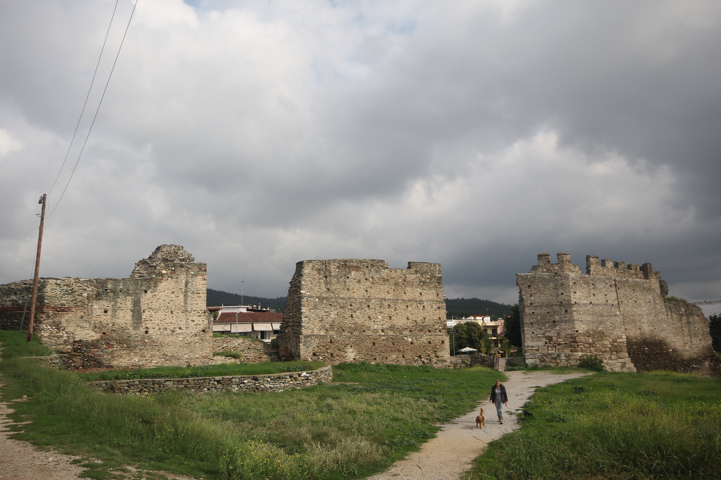 Passeggiata con il cane