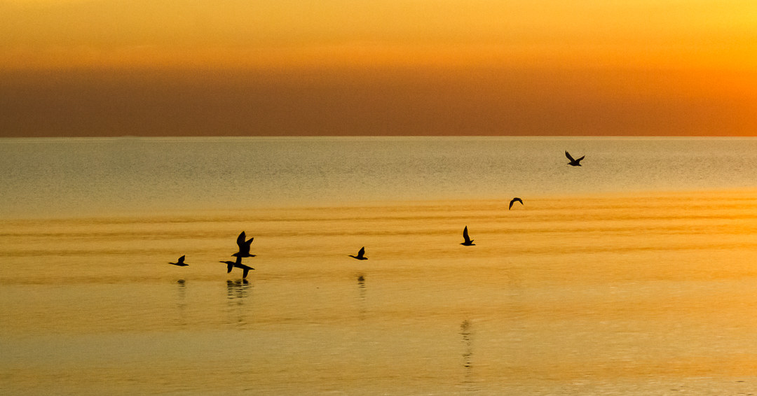 Landing in the sun path