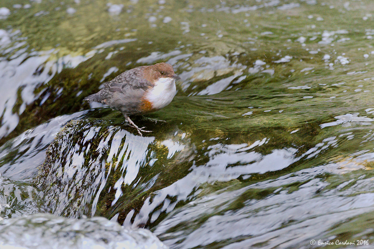 I know you are there !!!