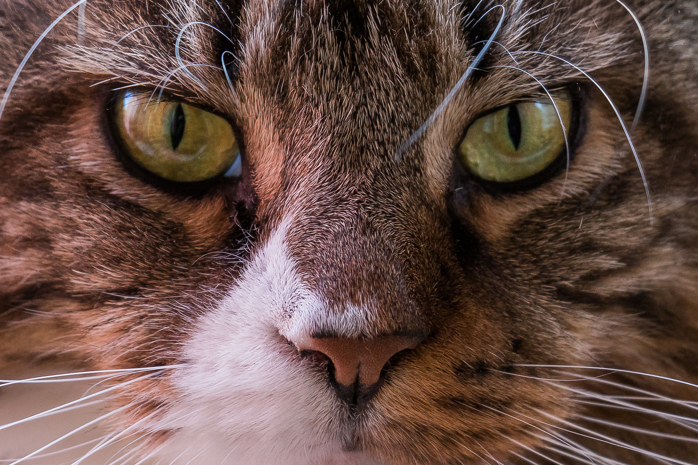 Questione di sguardi ...