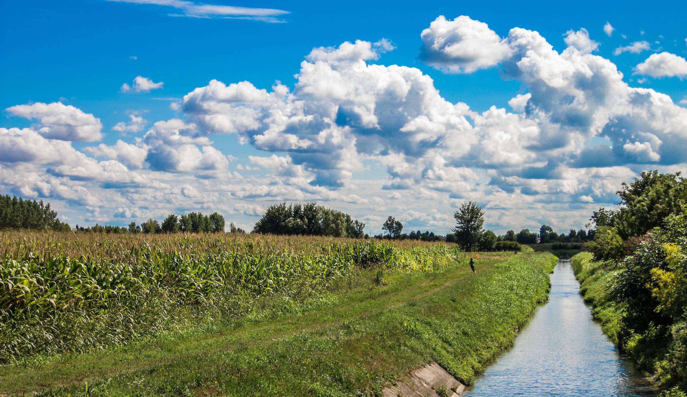 The small hunter of butterflies ...