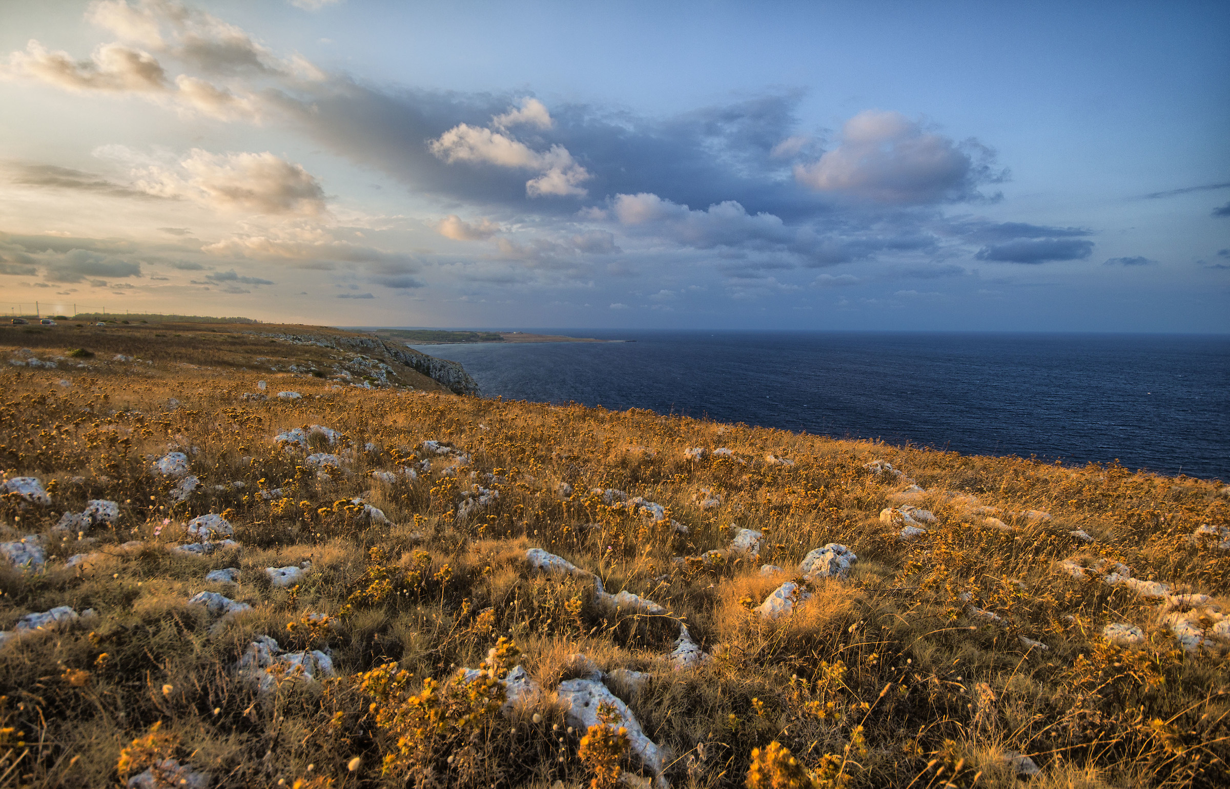 The scent of the sea