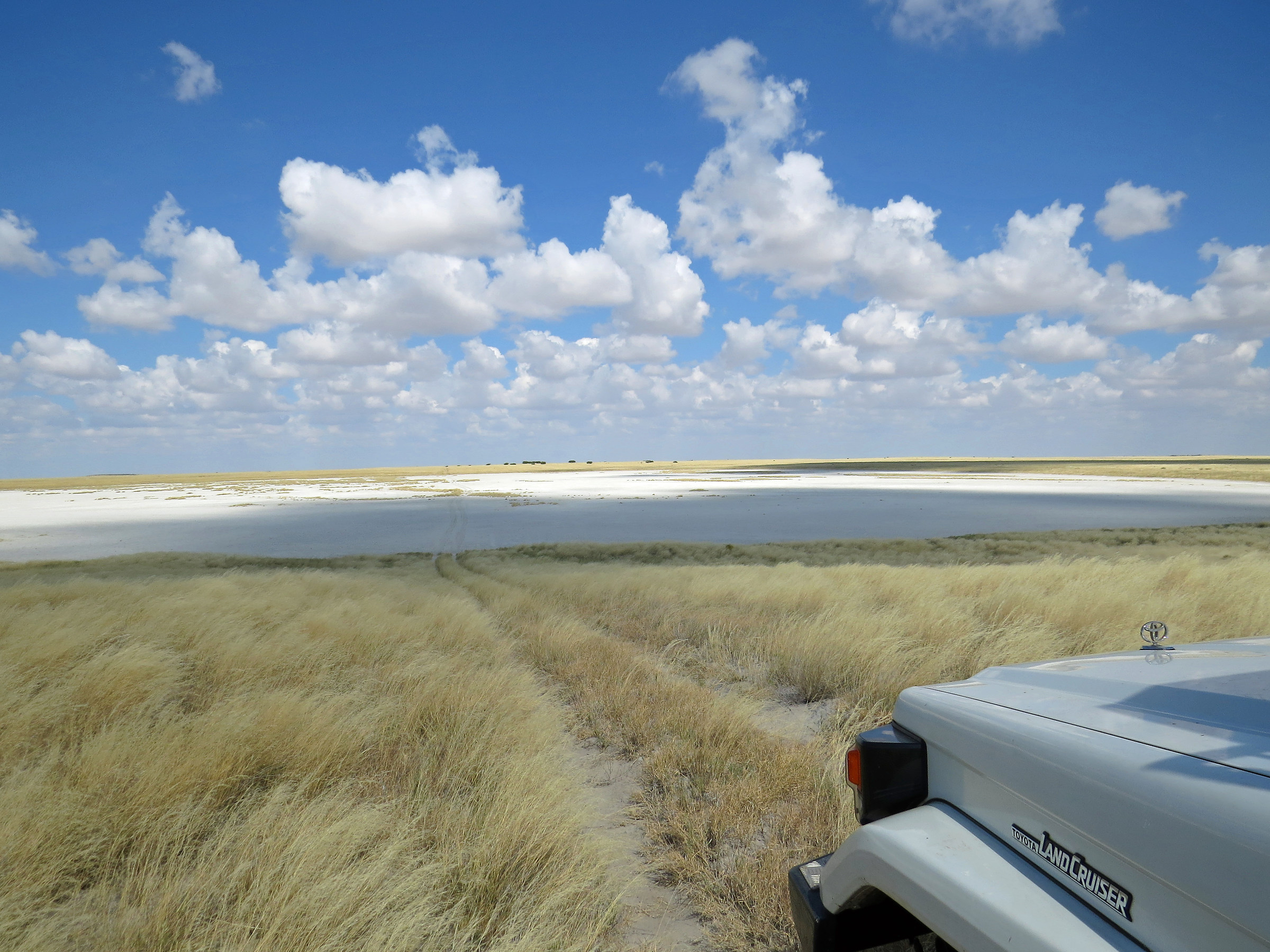 Botswana, the pan (large lakes now dried up)