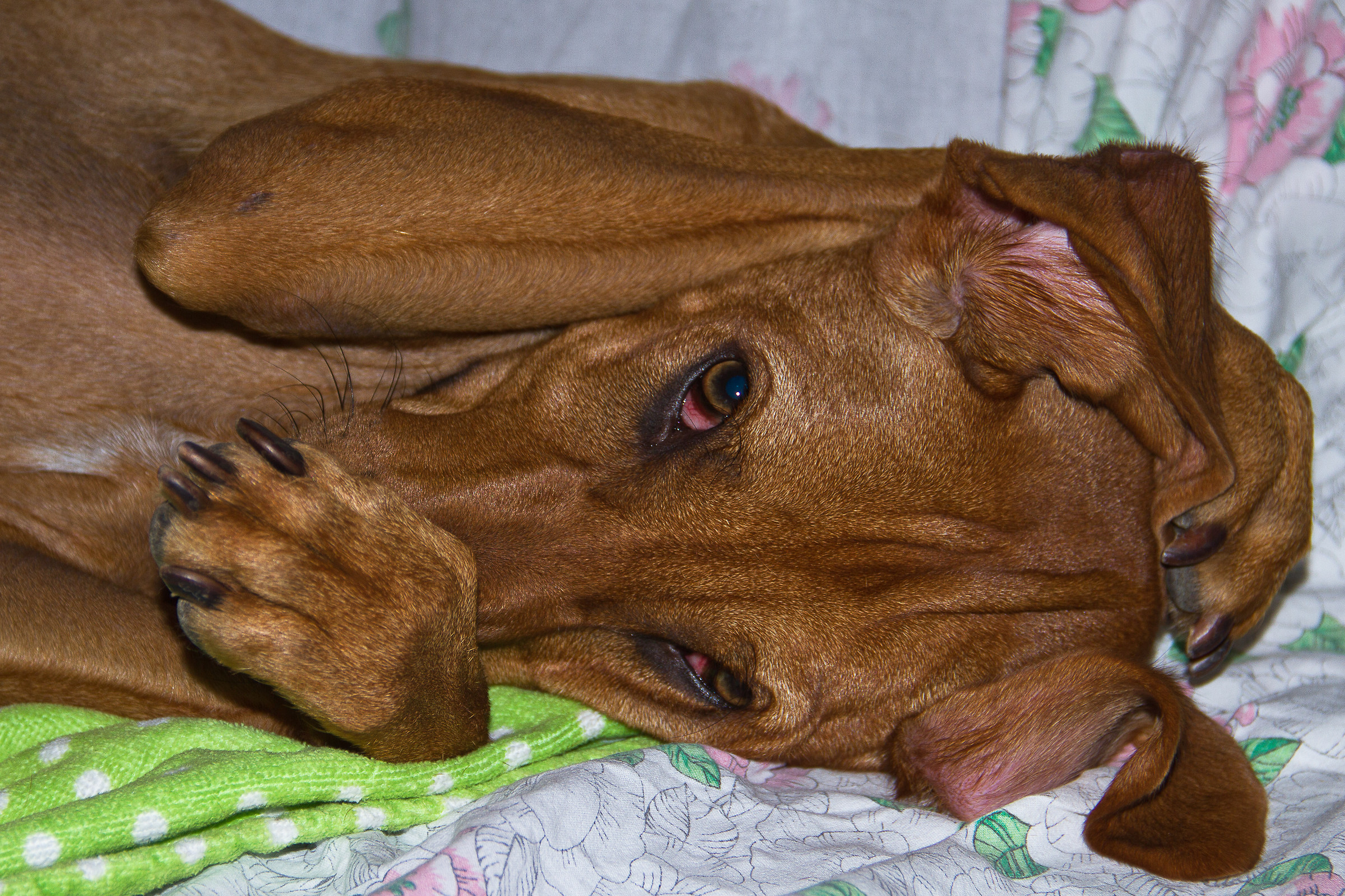 ecco che arriva il maniaco delle foto