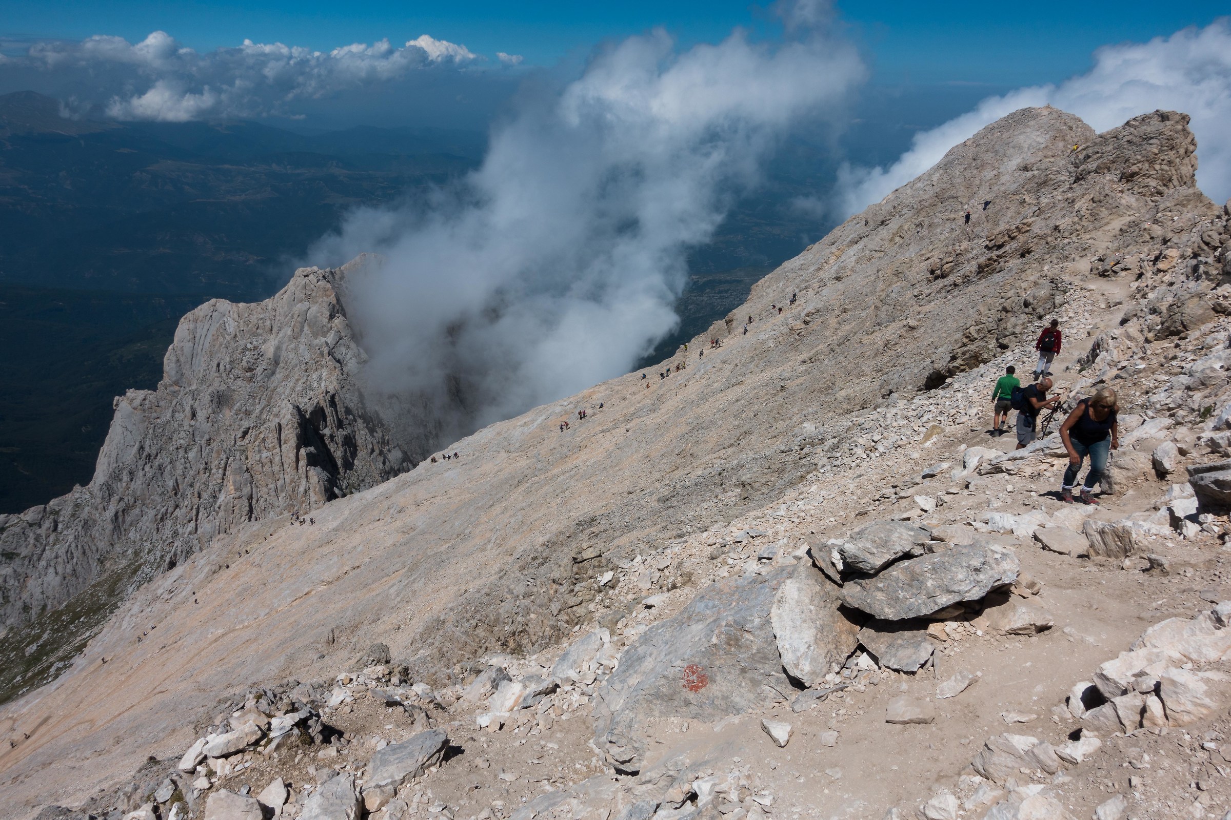 Ants at the Gran Sasso
