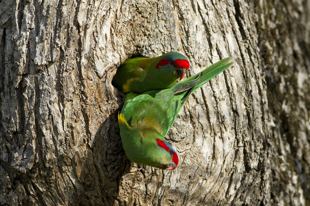 Go back inside and I have to talk !!!