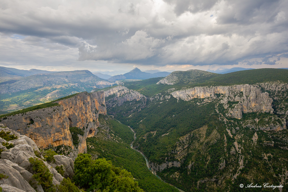 Verdon