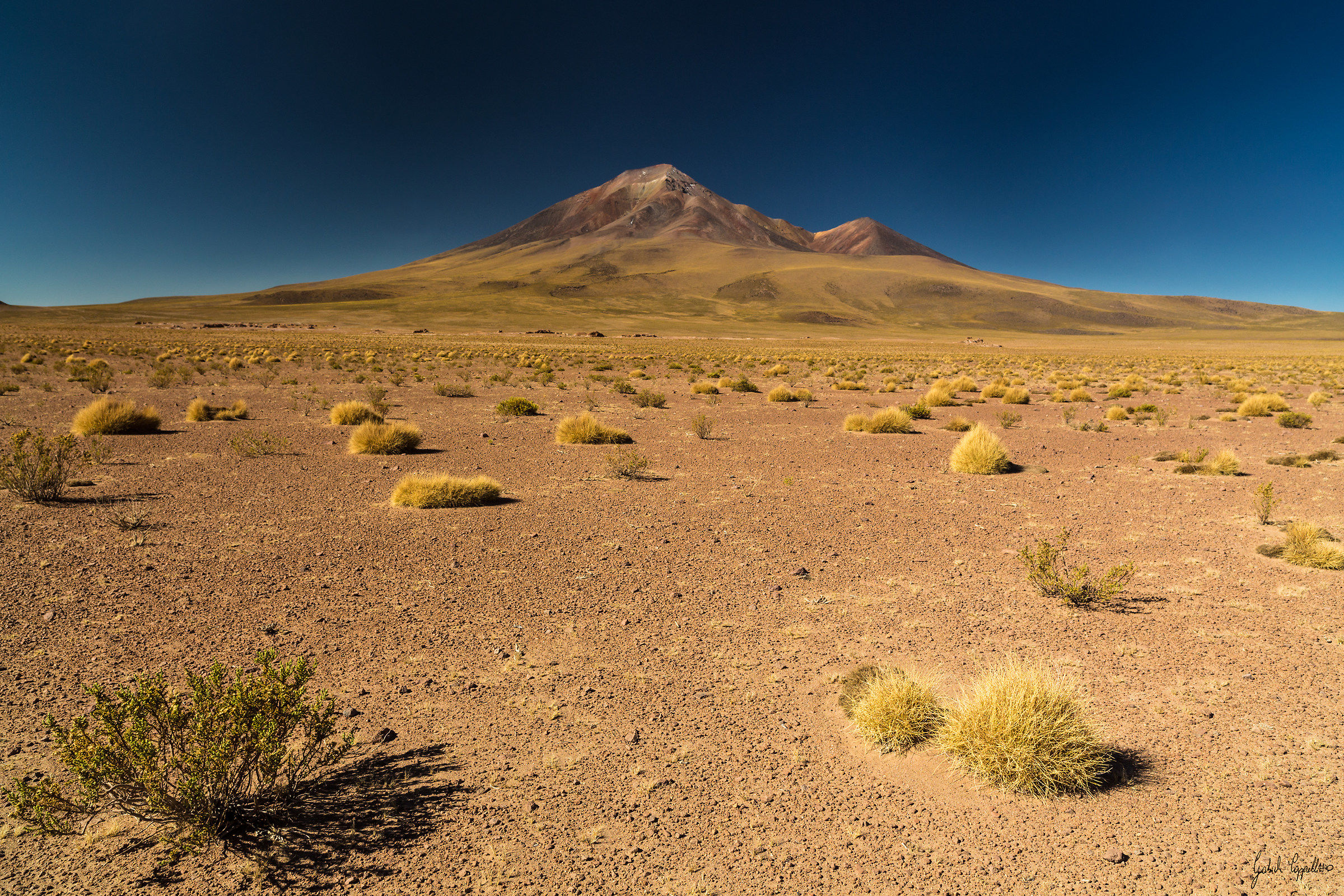 Altiplano