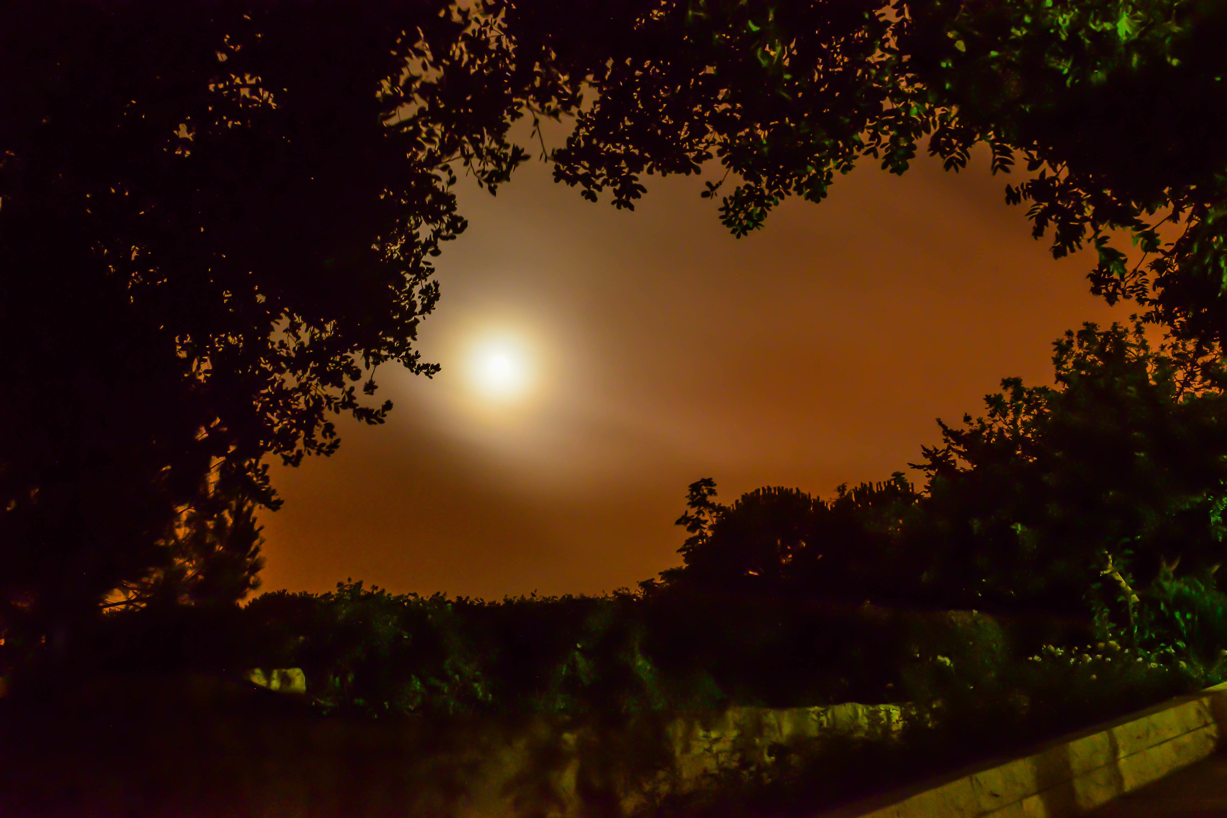 Midnight Hot Summer Day