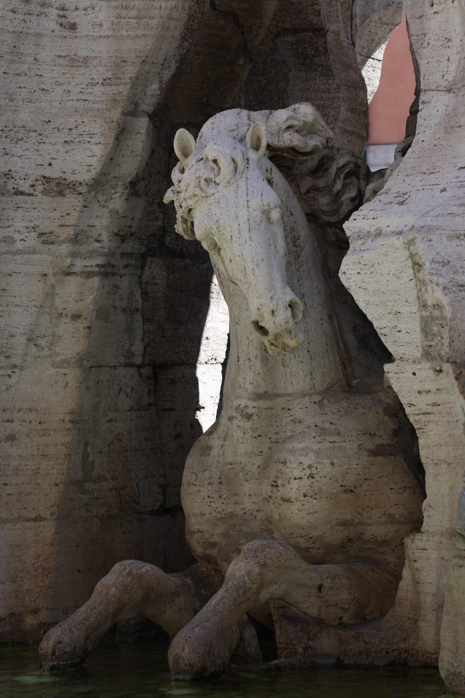 Fontana dei Quattro Fiumi - il Cavallo