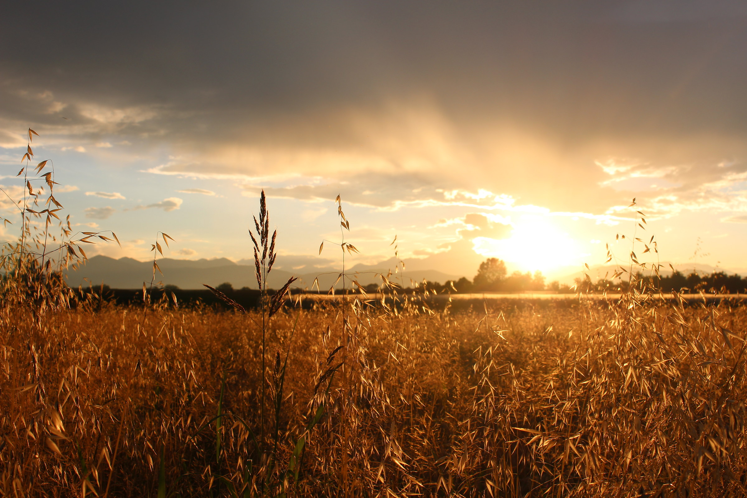 Tramonto in campagna