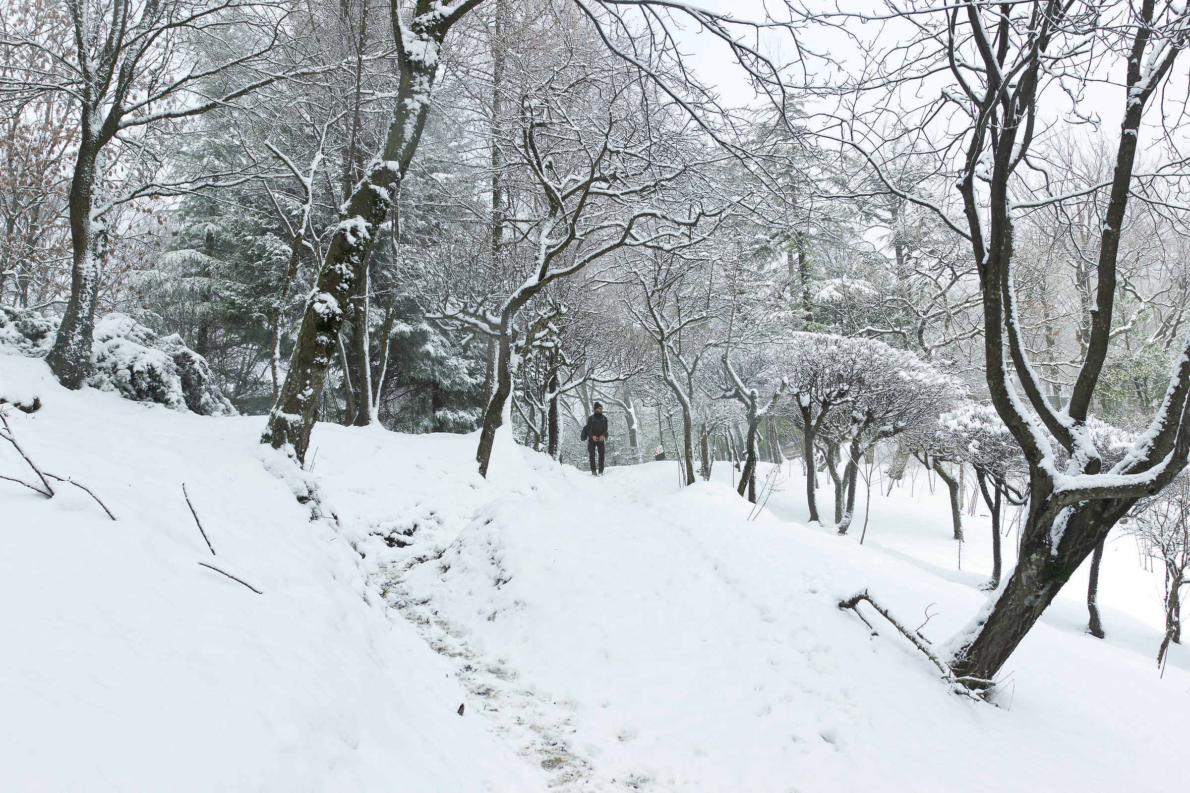 The goblin in the snow