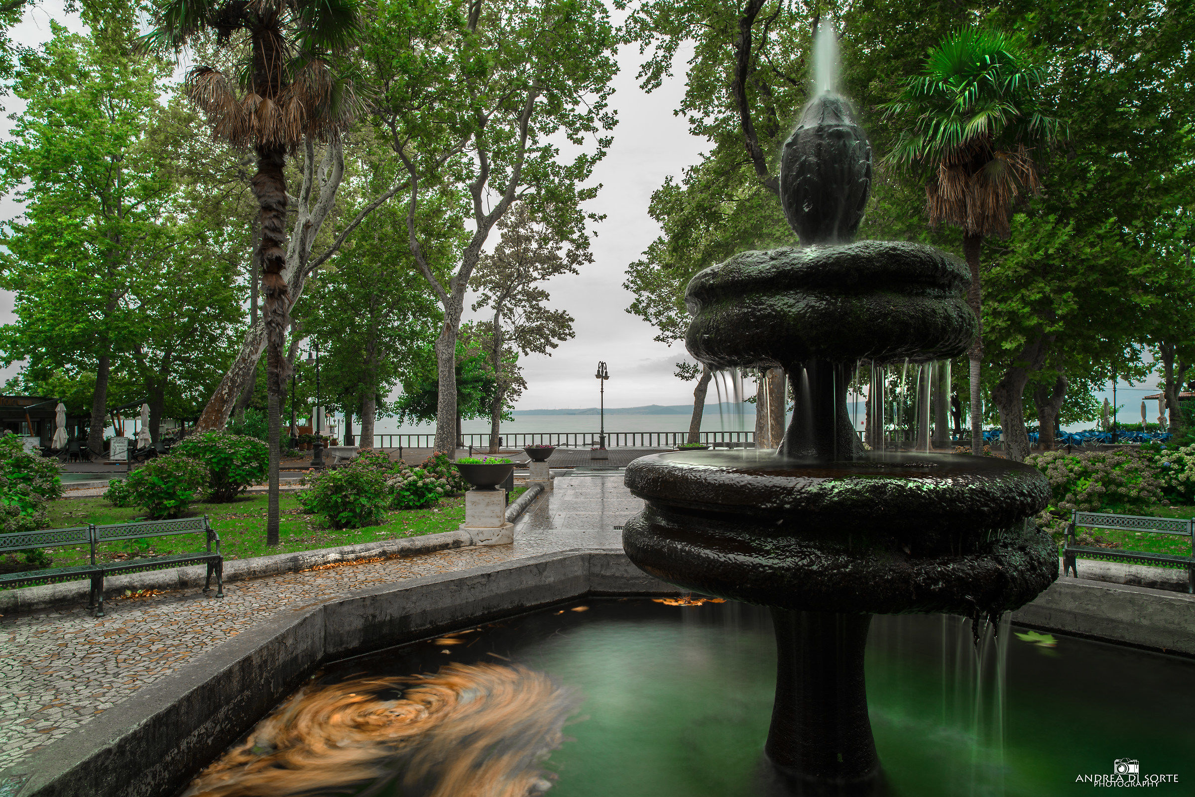 La giungla nel perimetro urbano