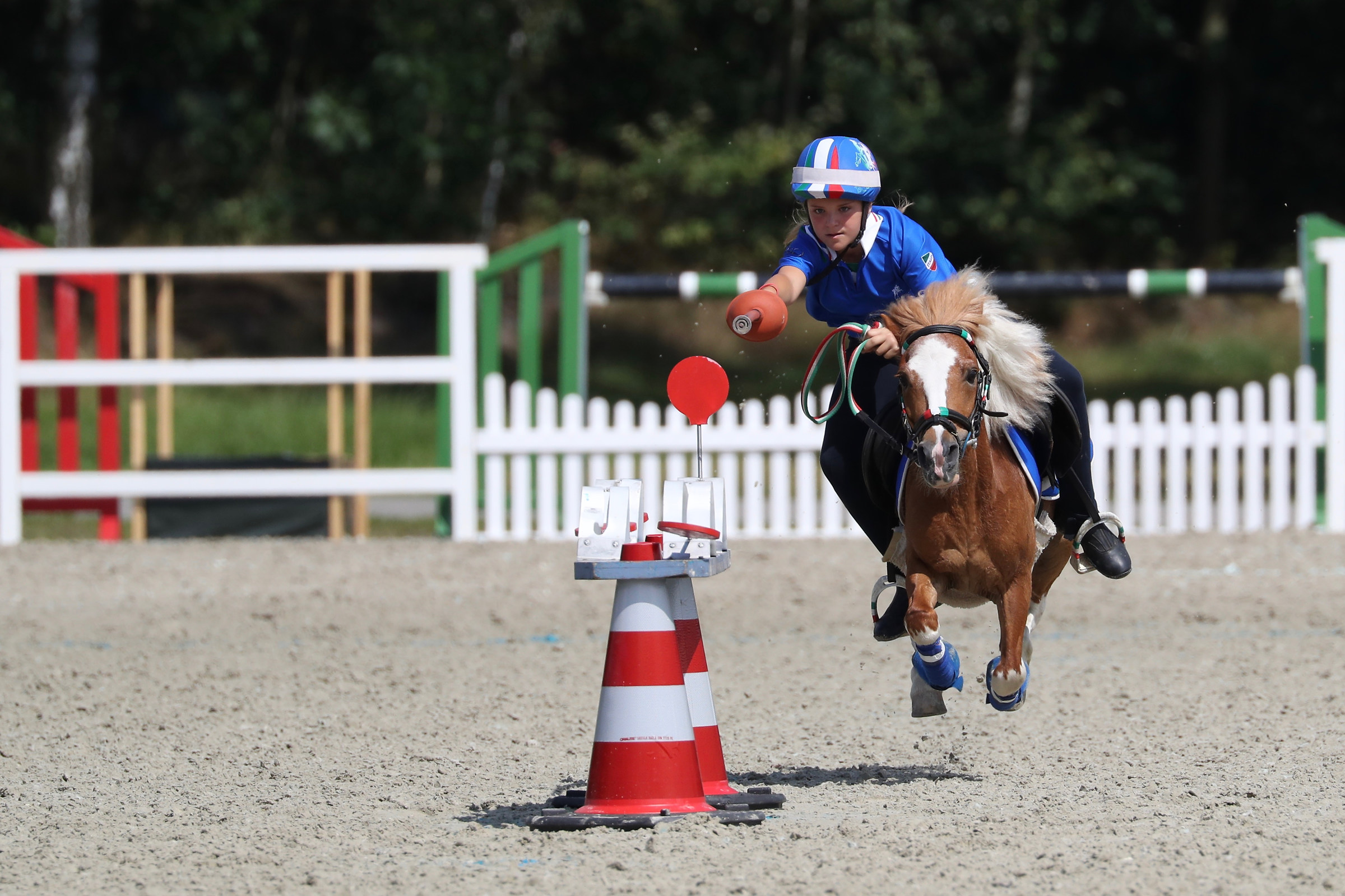 european championship silver mounted games '16