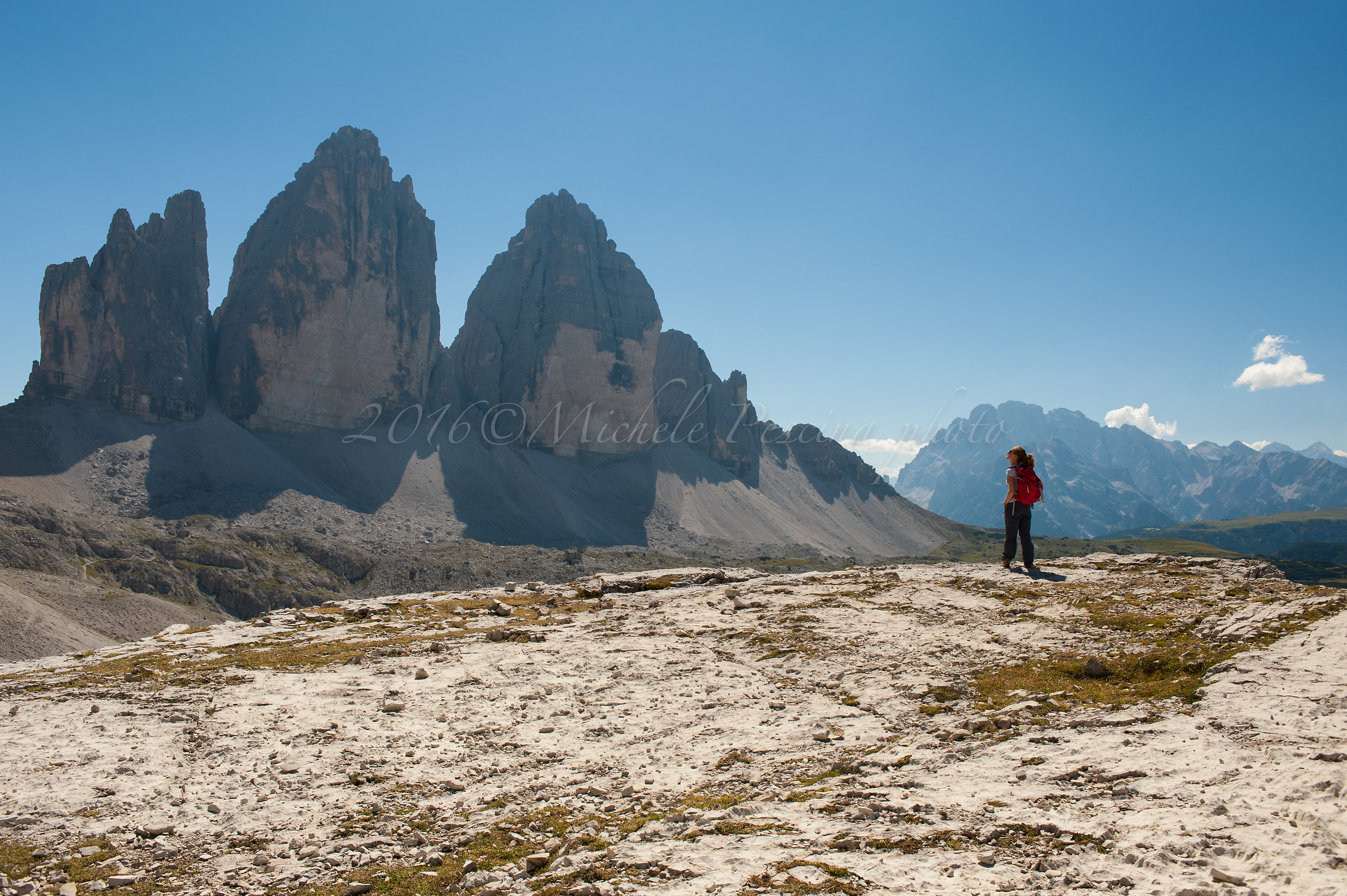 Lory among the giants ...