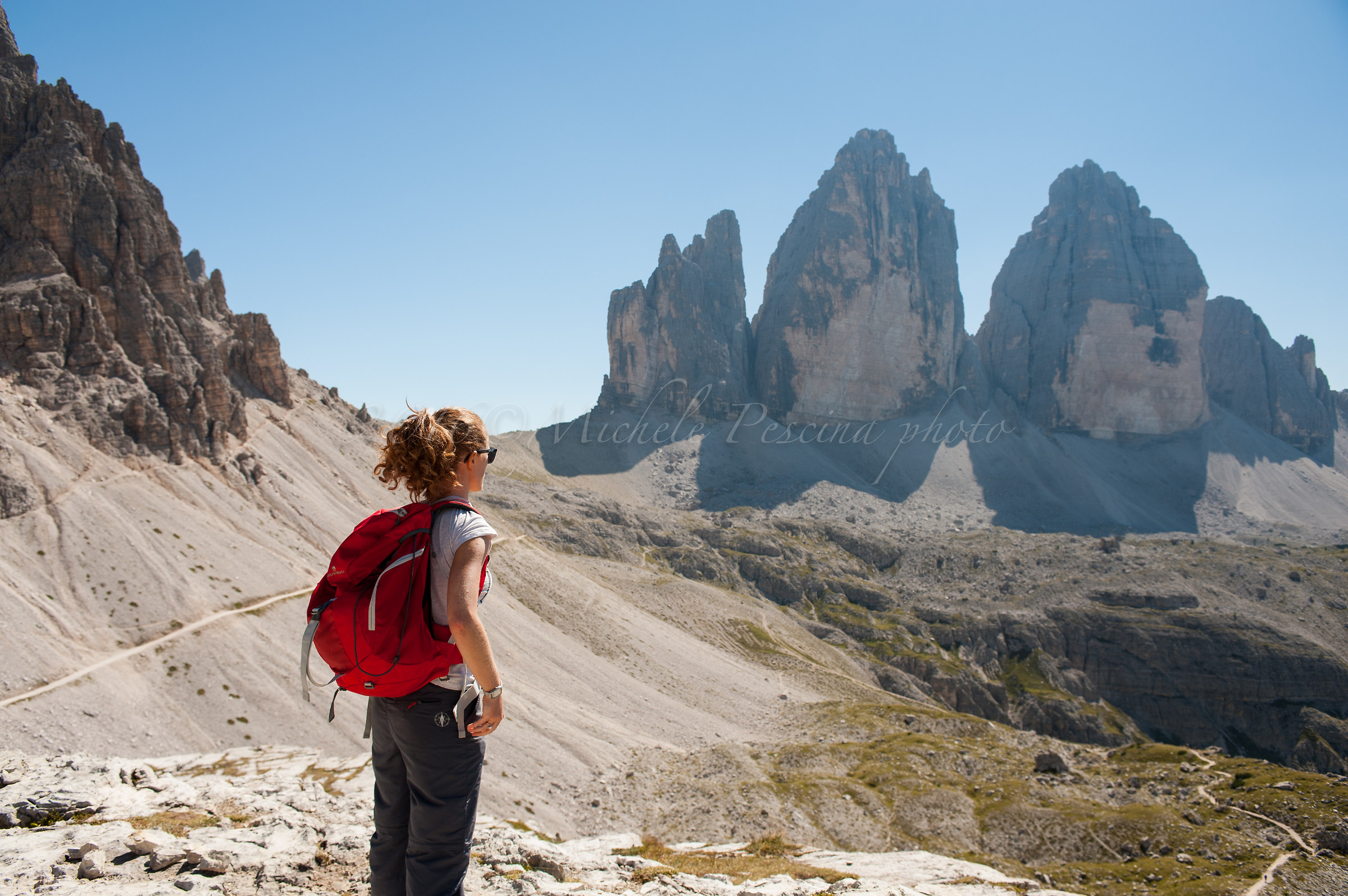 The Lory among the giants ...