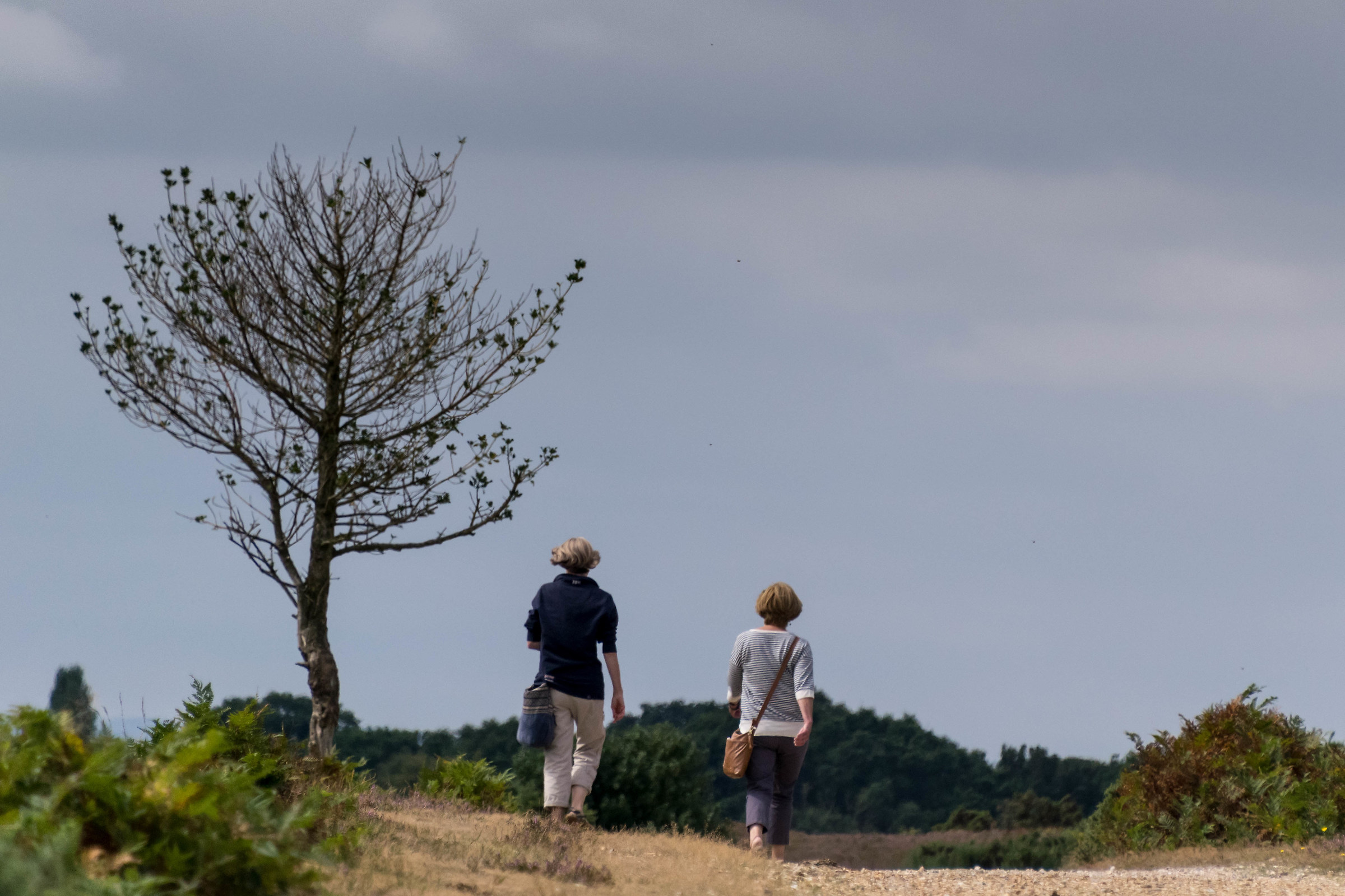 10.000 passi al giorno
