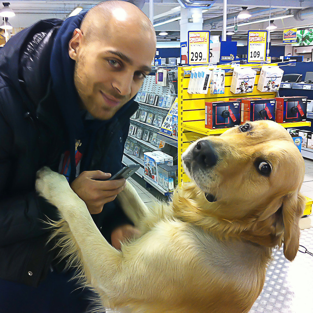 Shopping from "dogs"