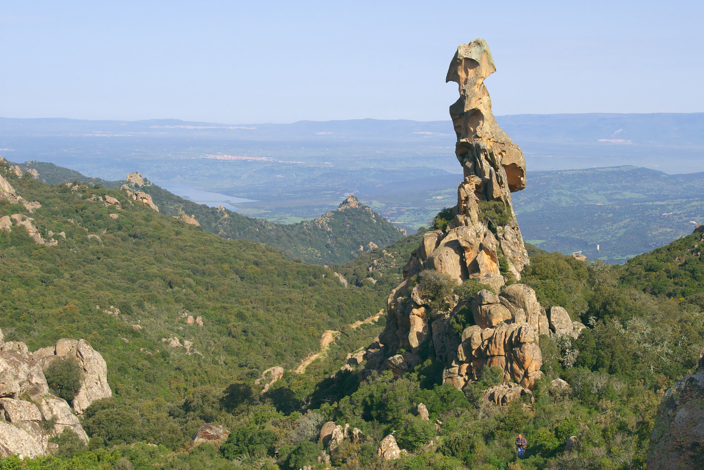 Sa Crabarissa, Austis