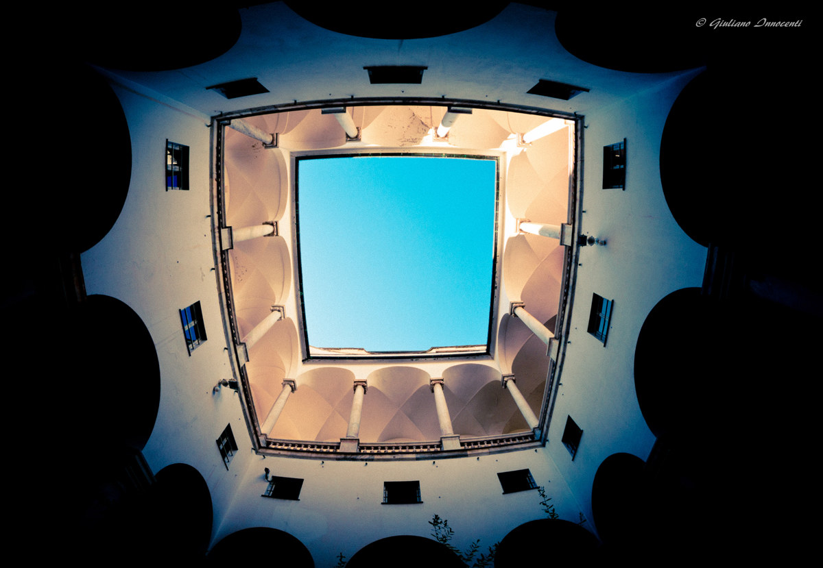 Con il naso all'insù