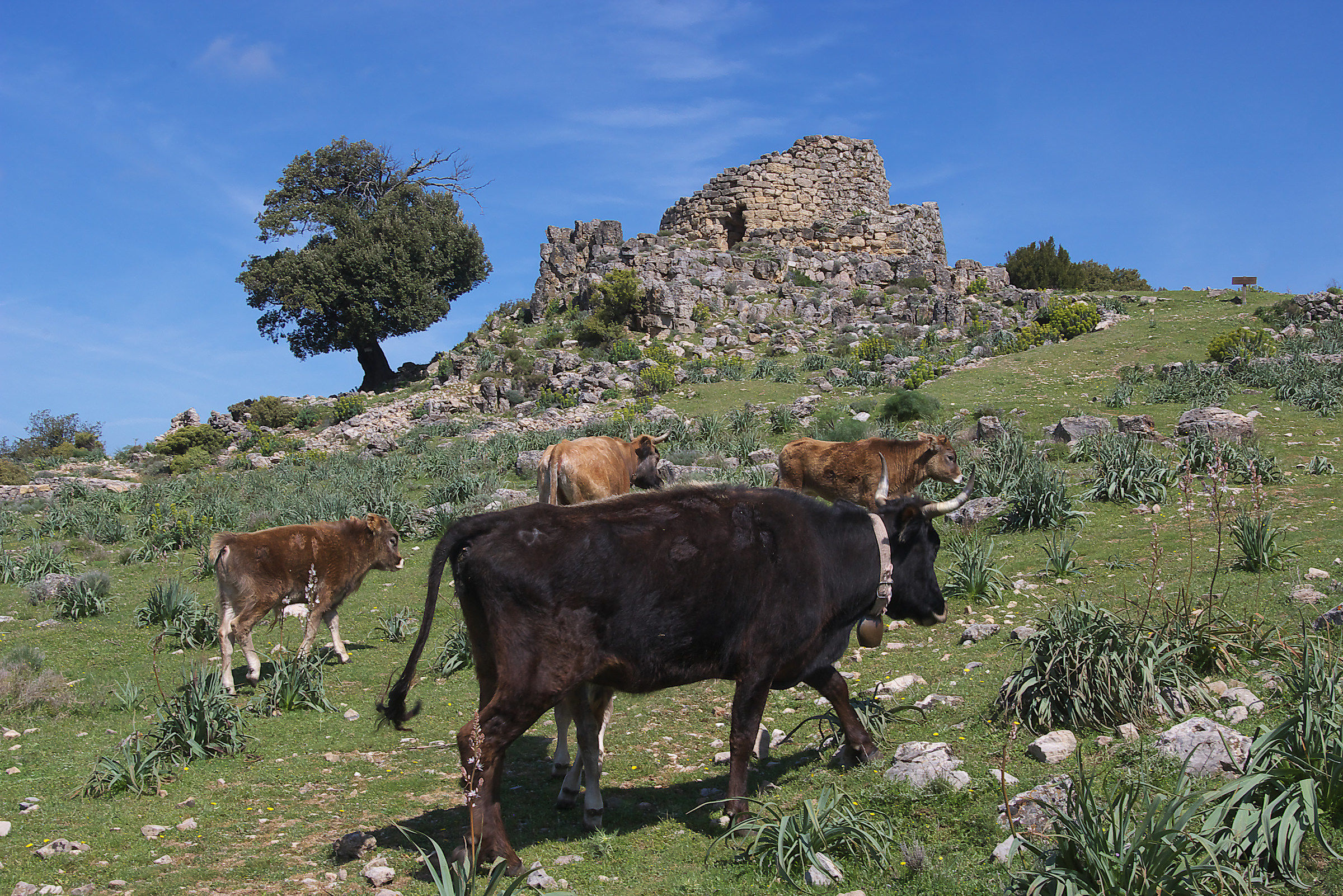 Nuraghe Ardasai, Seui