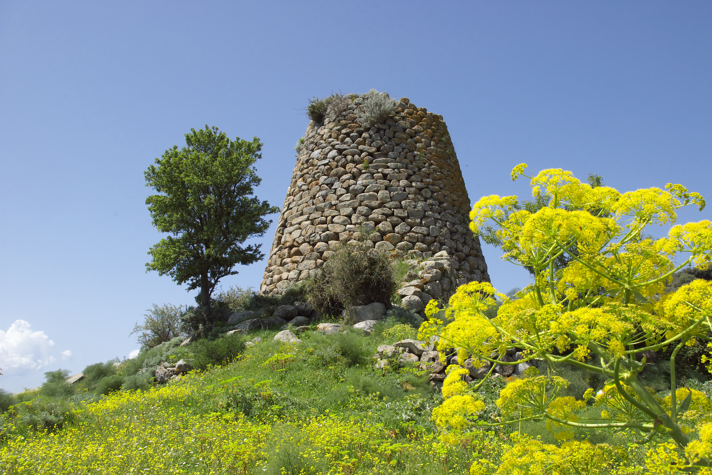 Nuraghe Madrone, Silanus