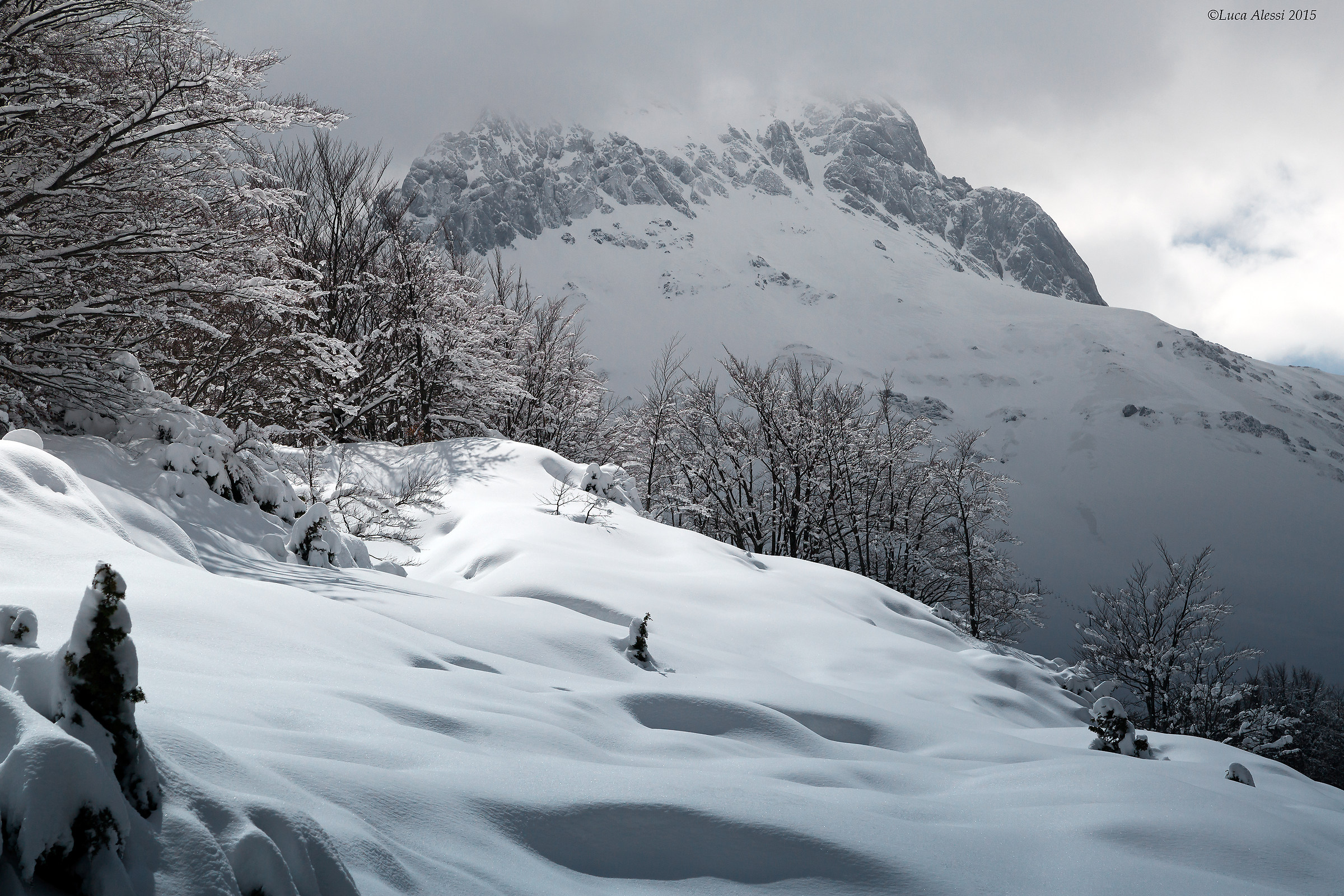 At the foot of the giant