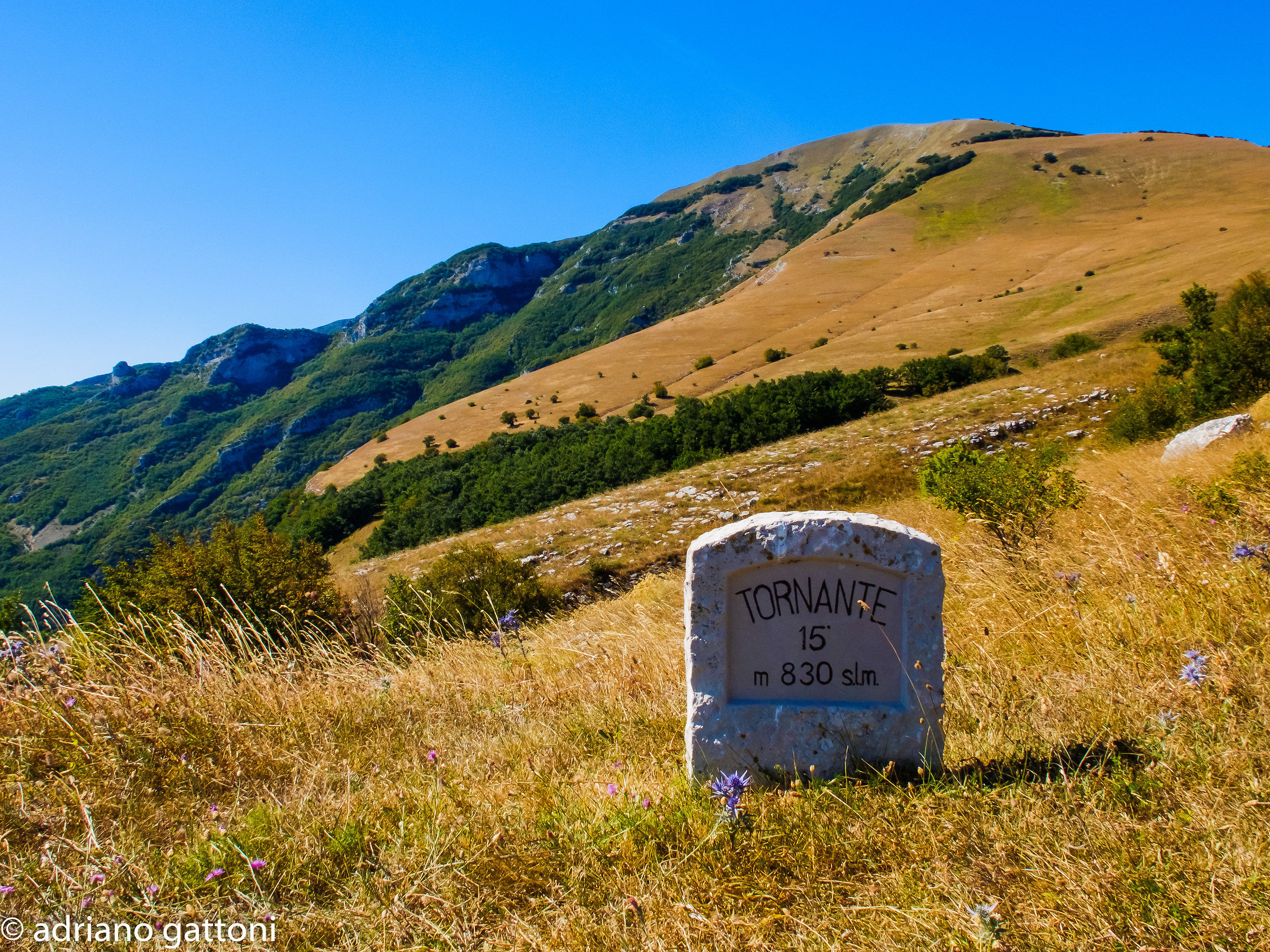 Tornante 15, 850 m slm