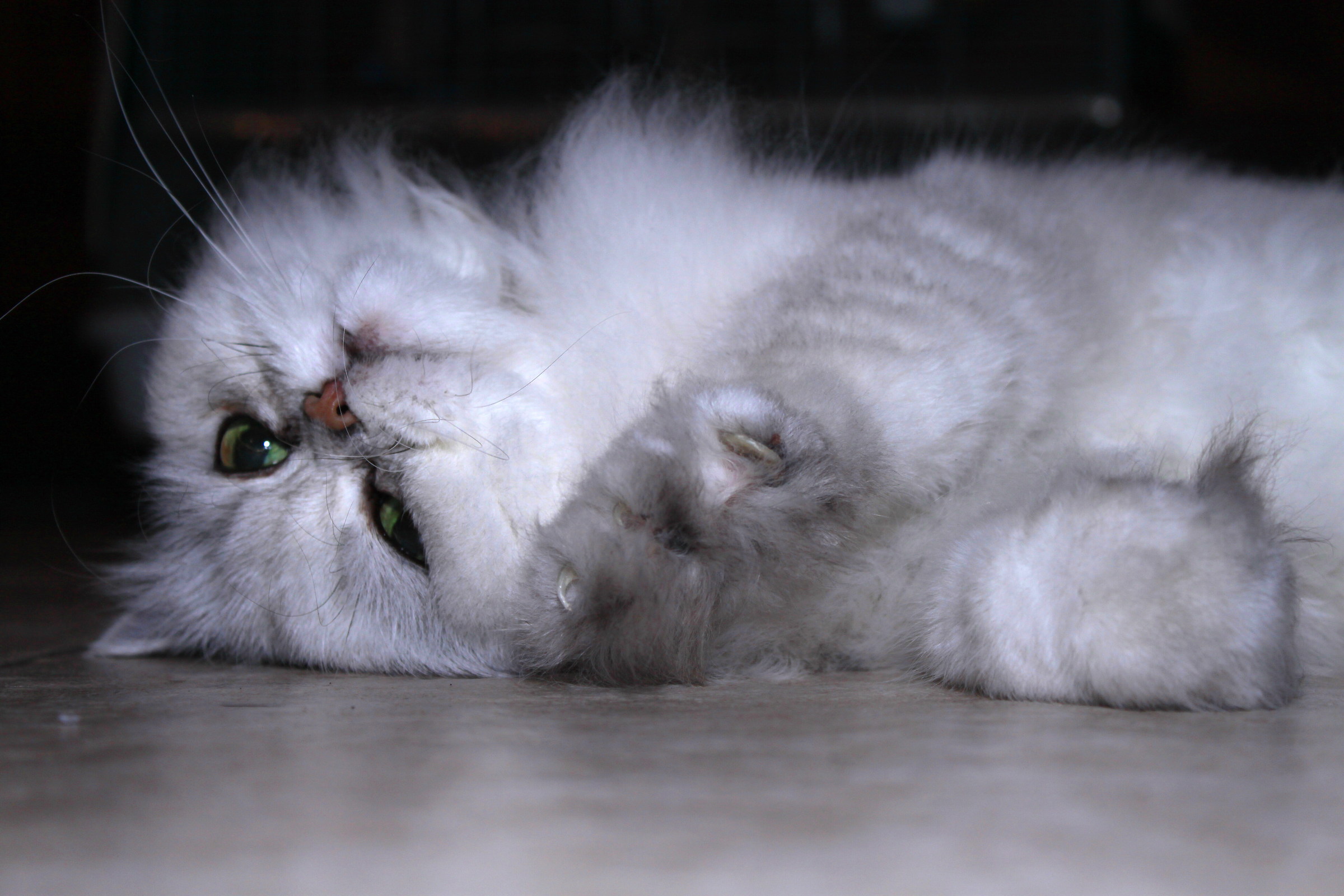 How beautiful you are ... Margot!