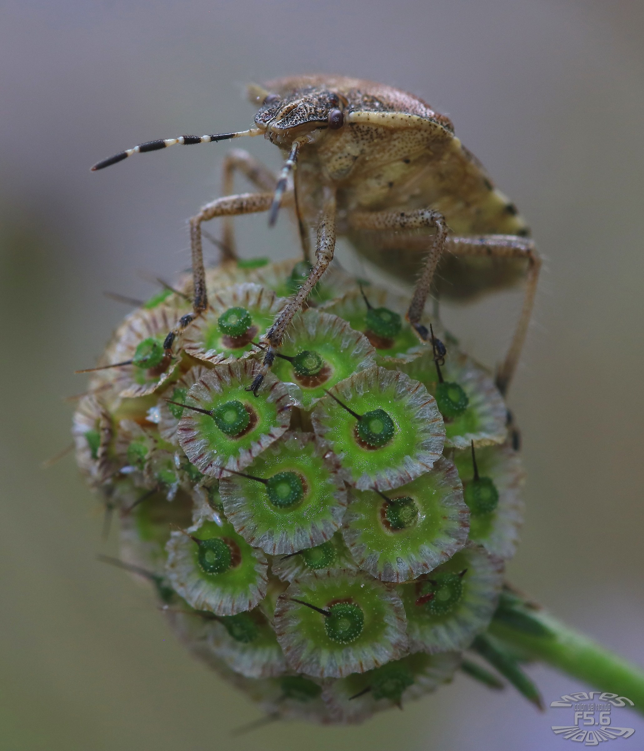 Qualcosa da dire....