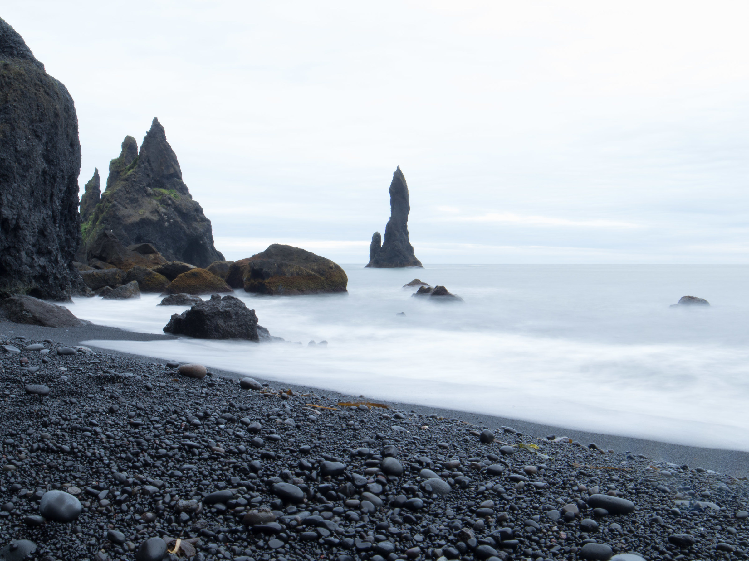 Spiaggia ad Hofn con Oly