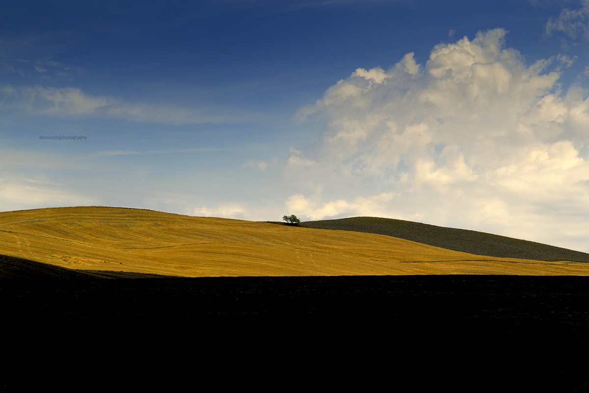 Val d'Orcia-provando il Sigma 17-70