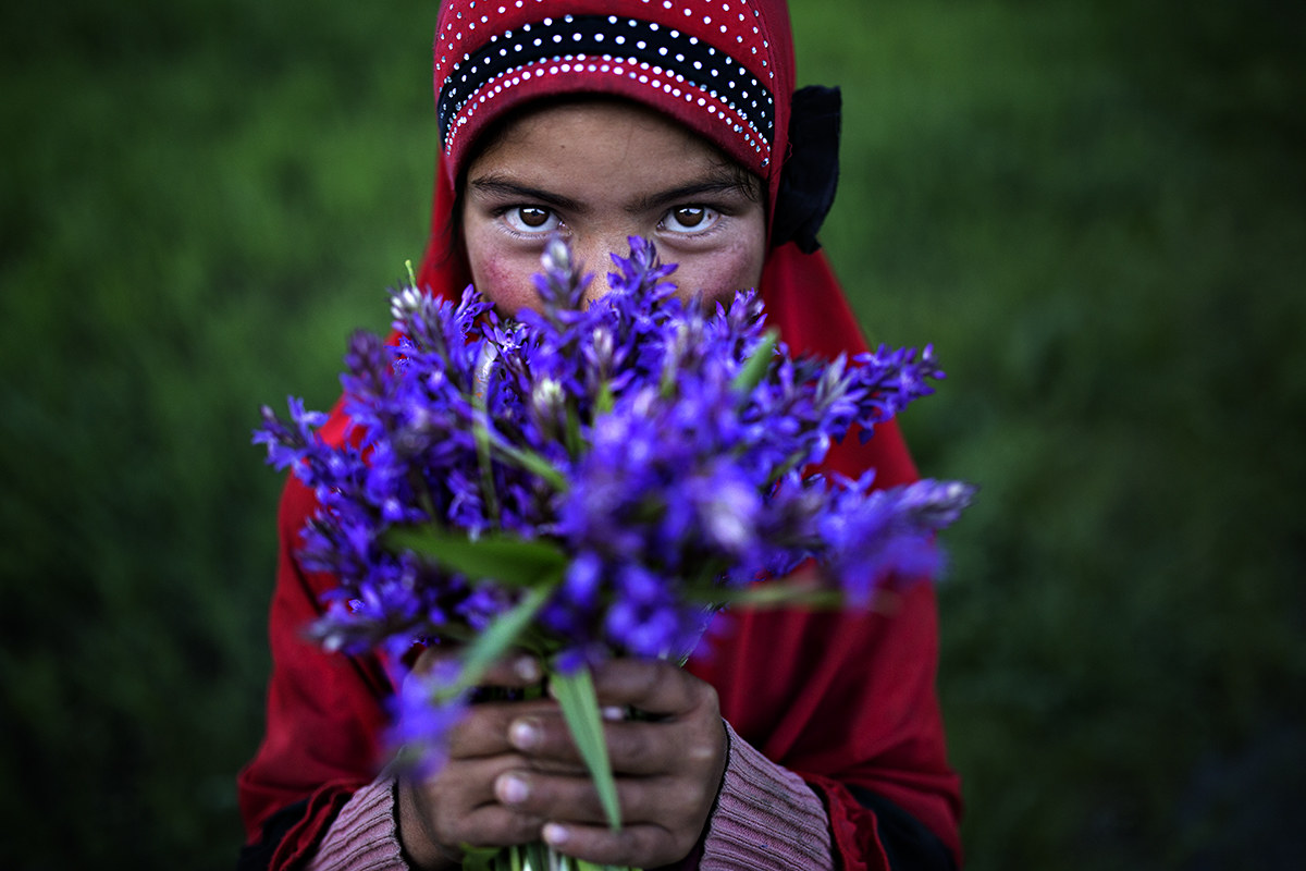 benvenuto a casa nostra, Kashmir