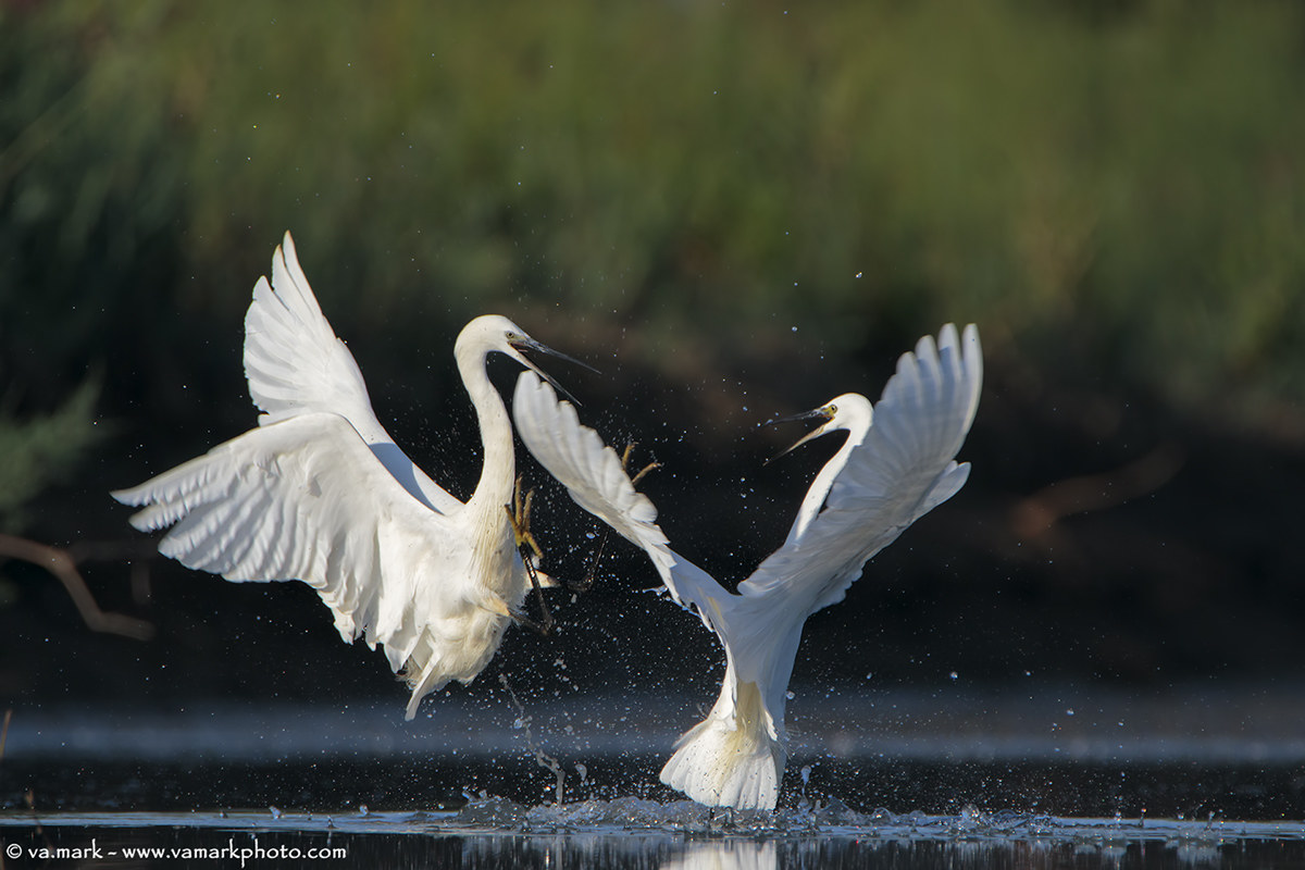 Discussions morning .....