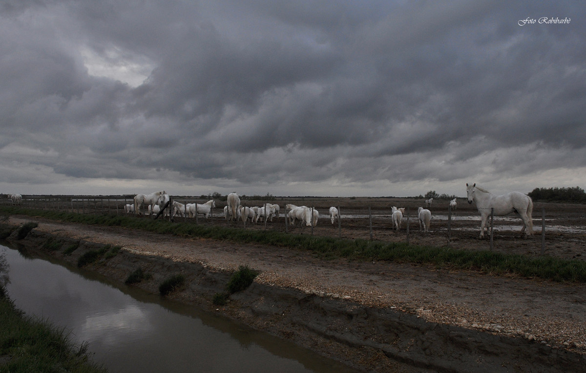 Mistral minaccioso...