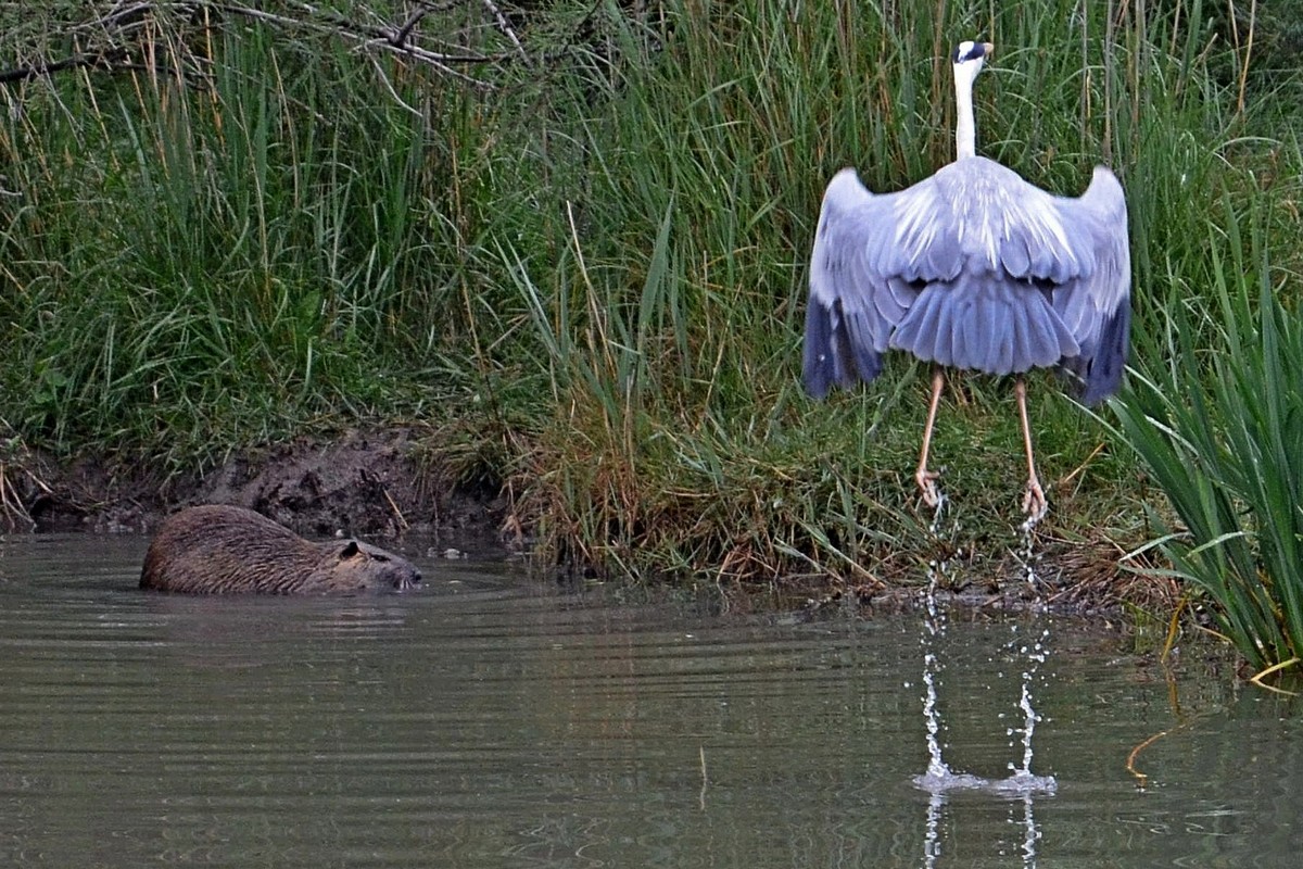 Enemy in sight ... takeoff