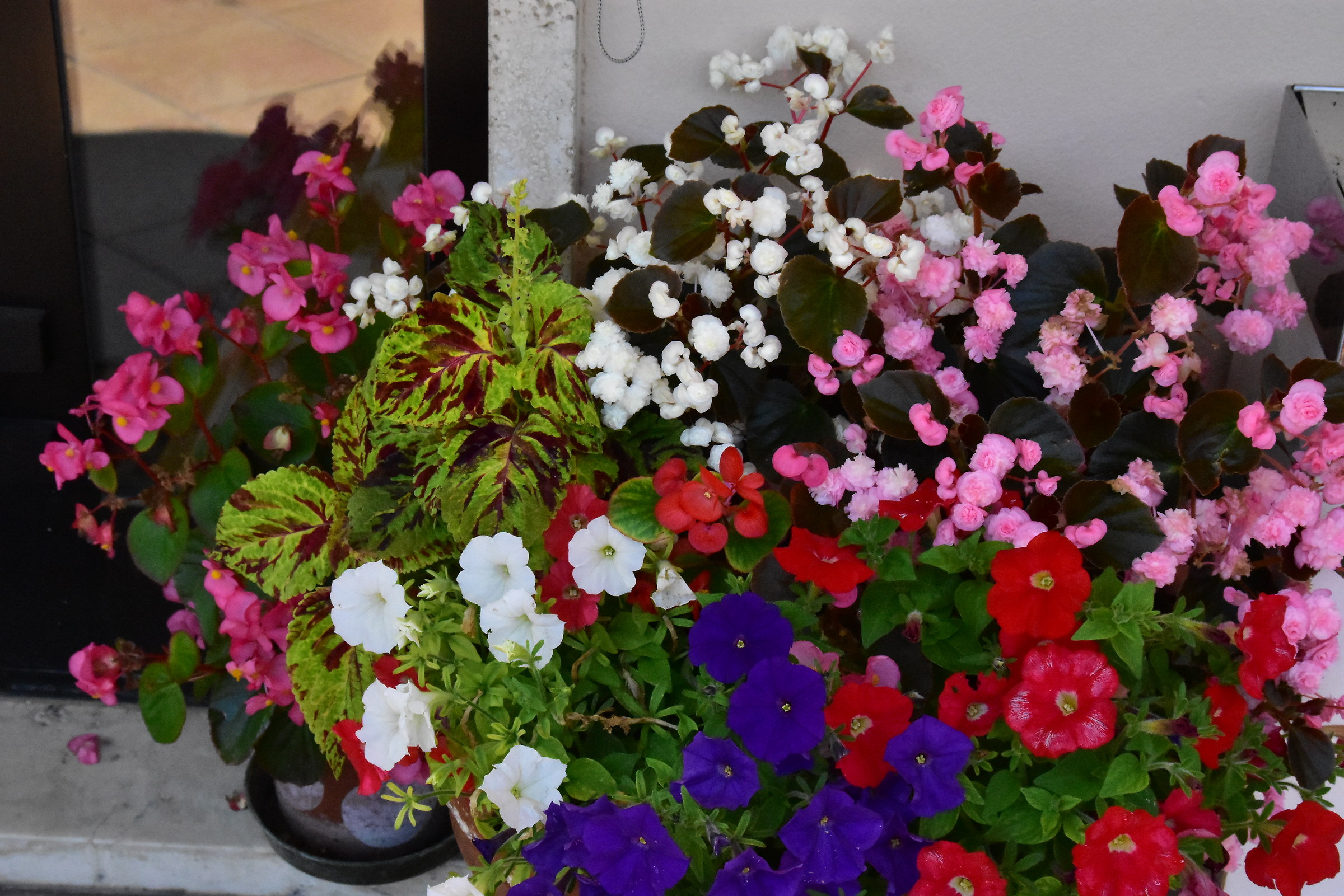 composition of flowers