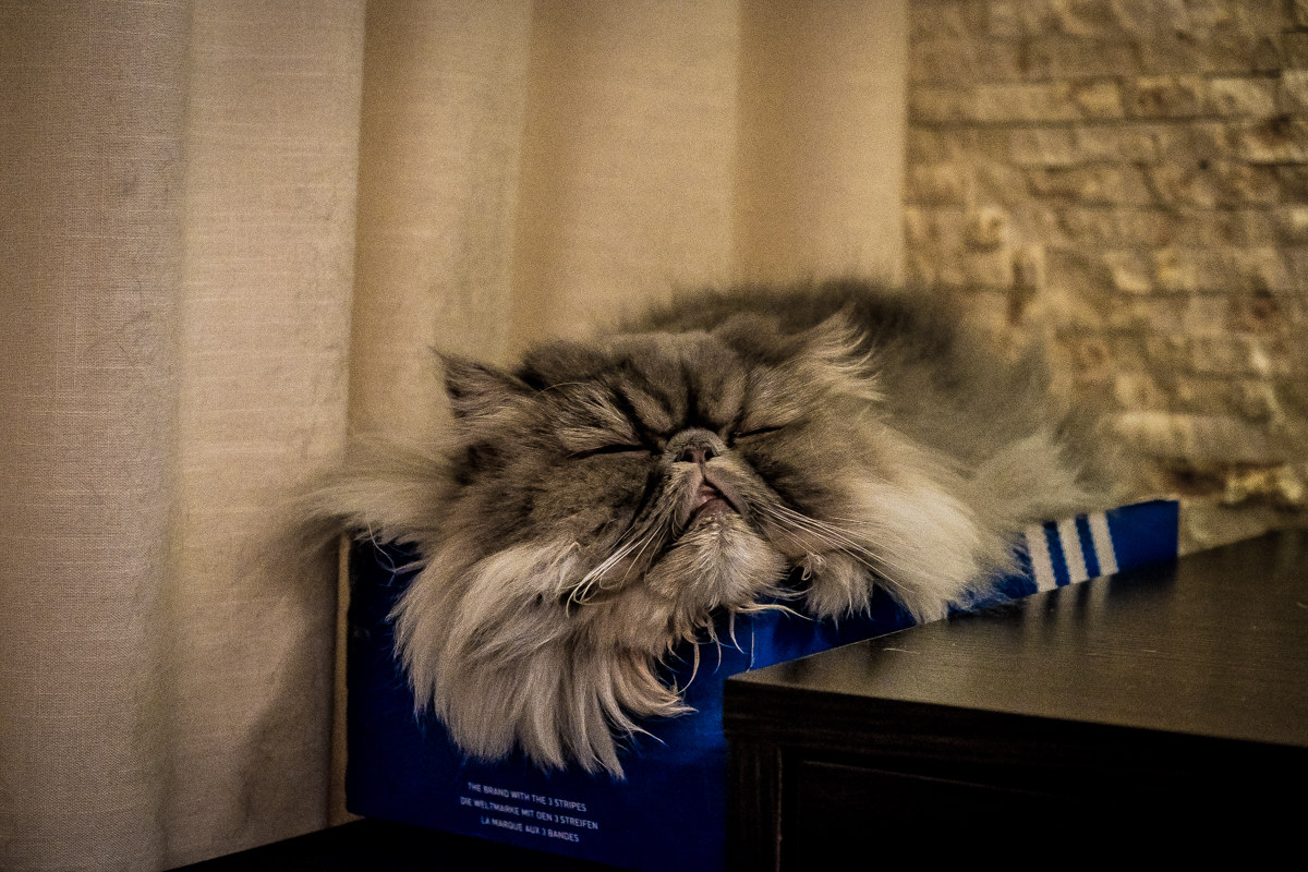 The favorite spot, the box ...