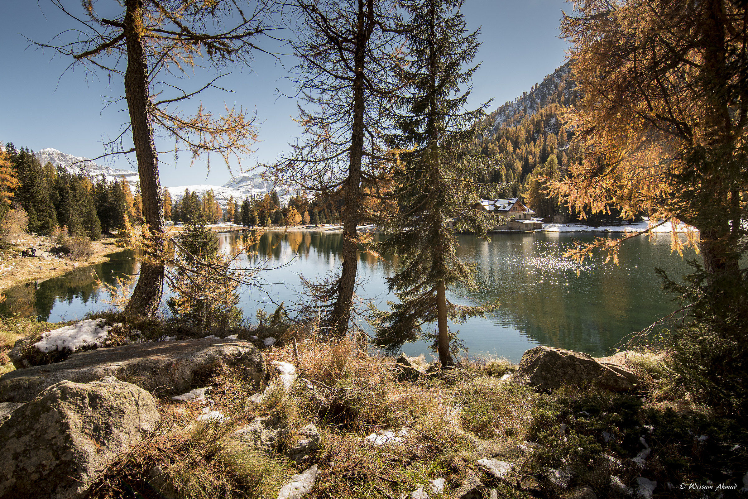 Il mio Nambino autunnale