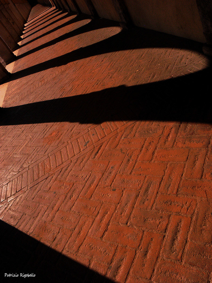 La ricerca dell'ombra