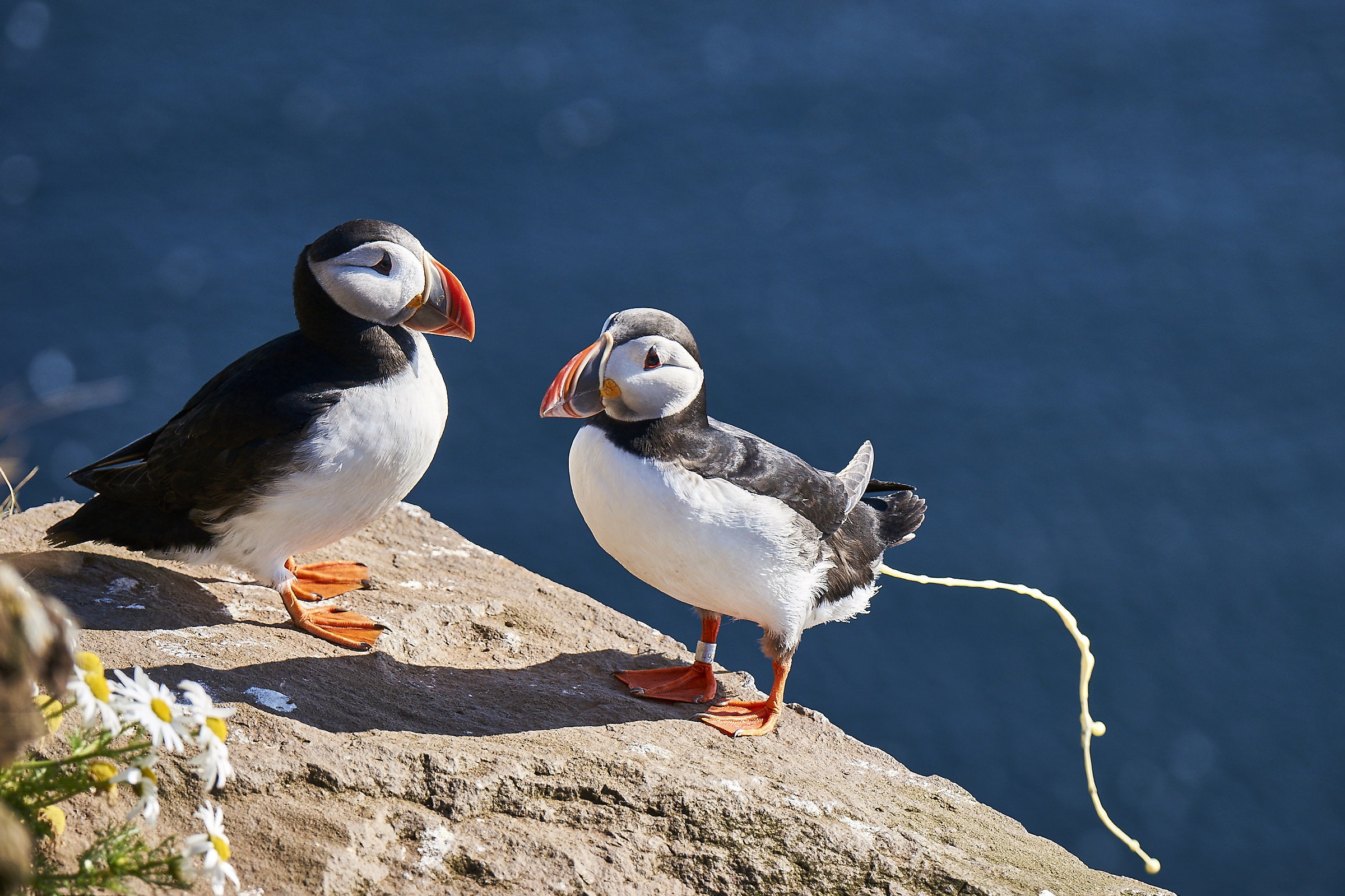 When you run ... run away