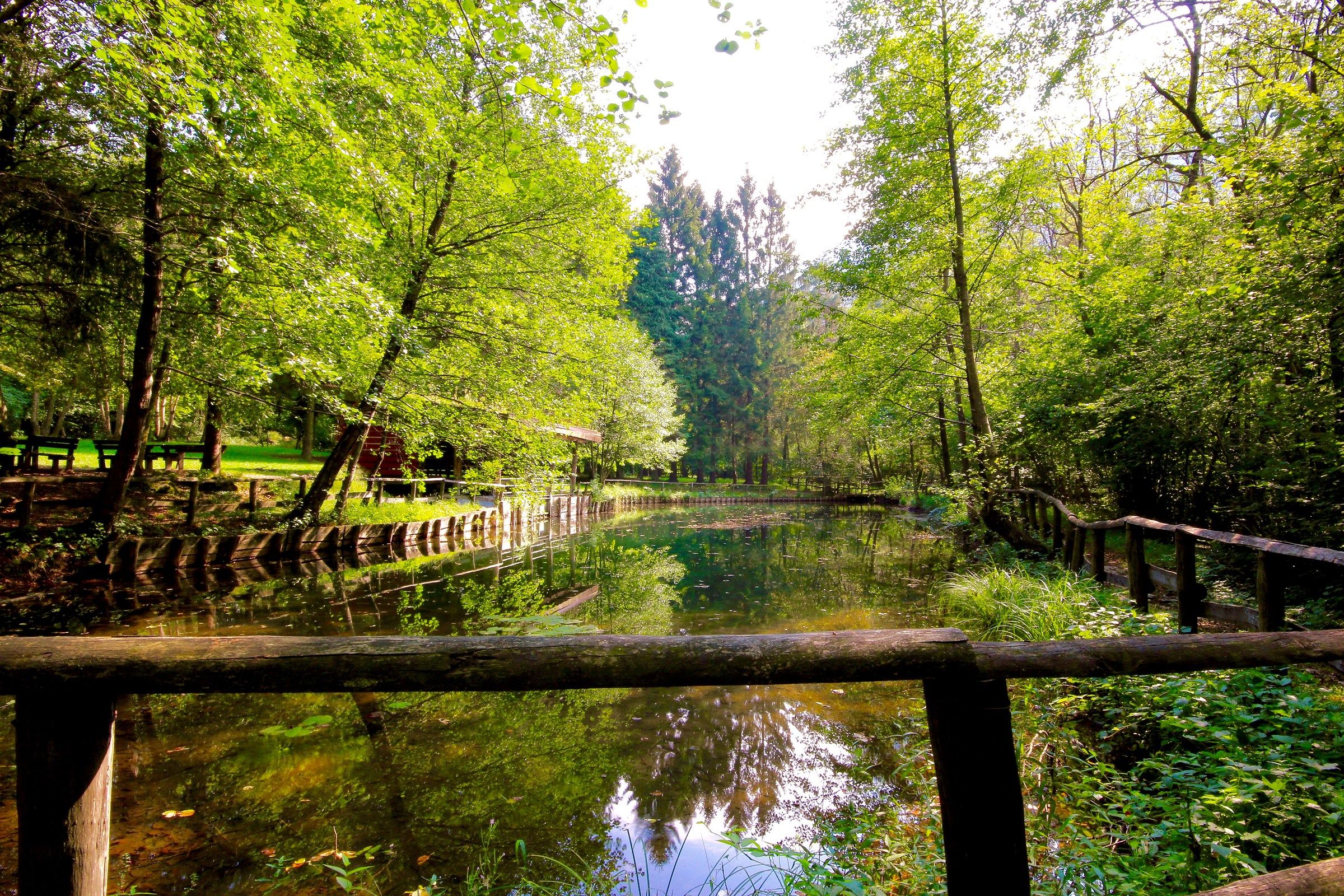Nature Reserve Lake Ganna VA