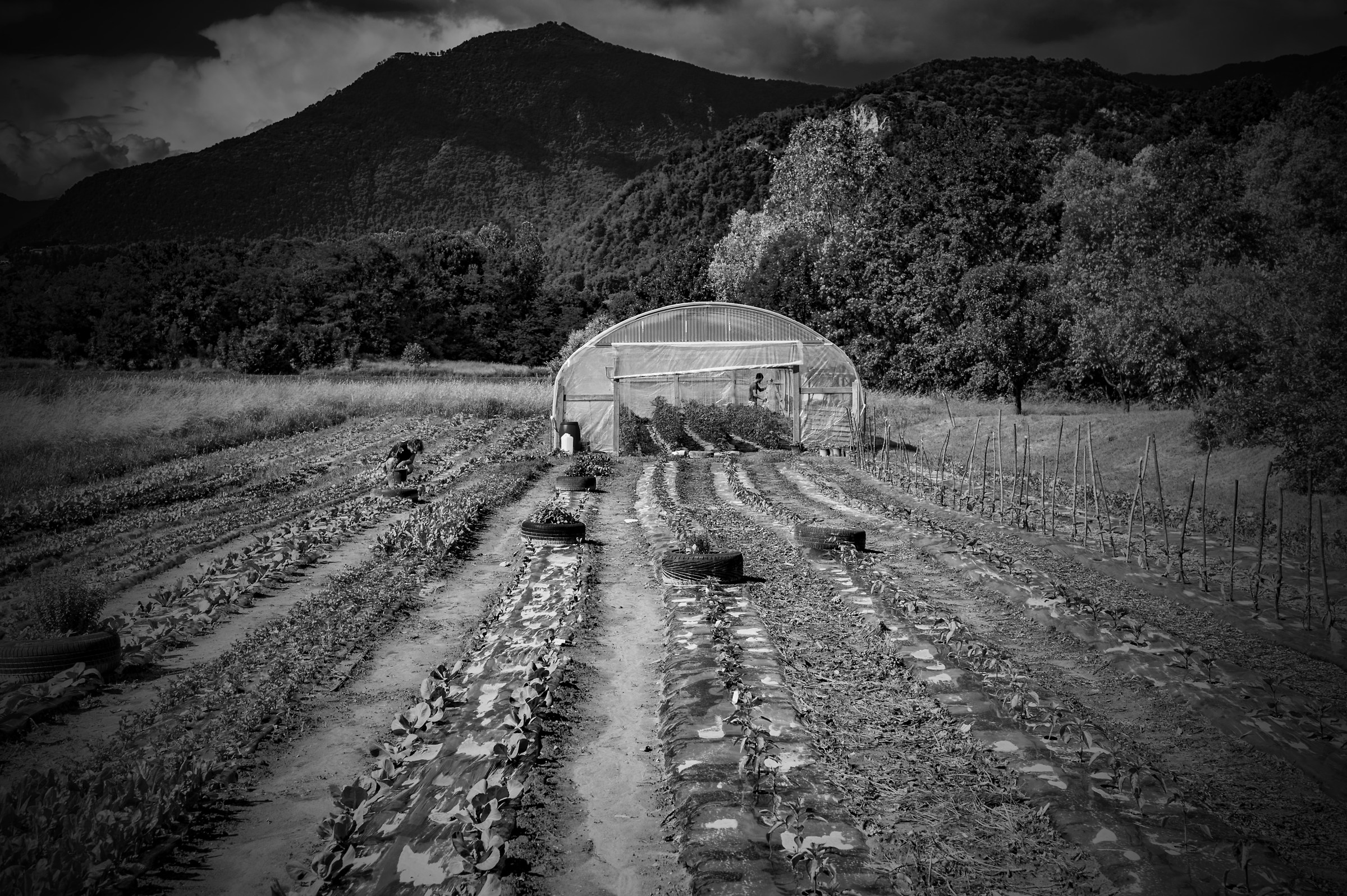 Antichi Mestieri Per Giovani Imprenditori