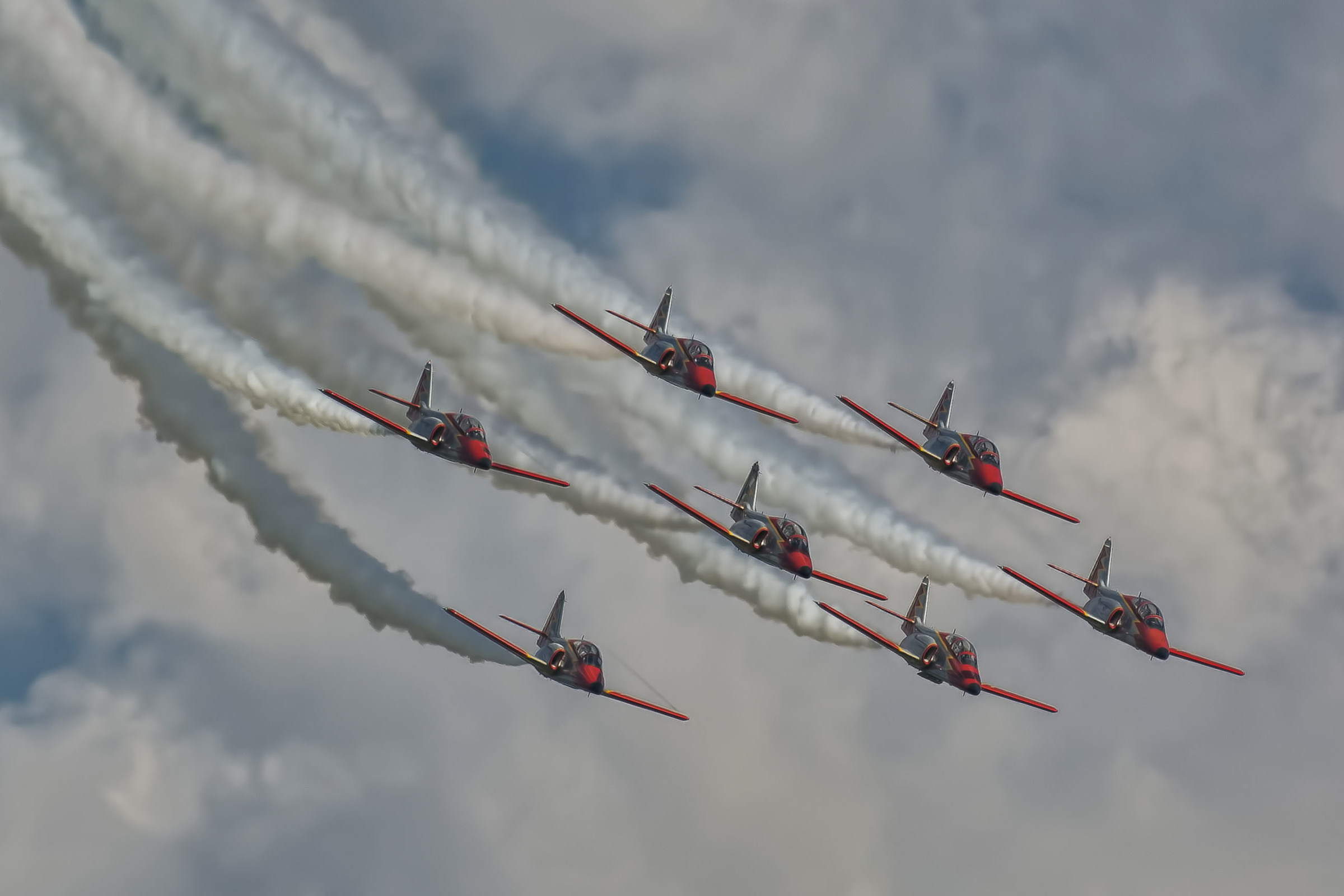 patrulla aguila