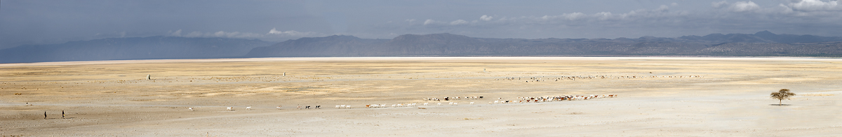 Lake Manyara dry season