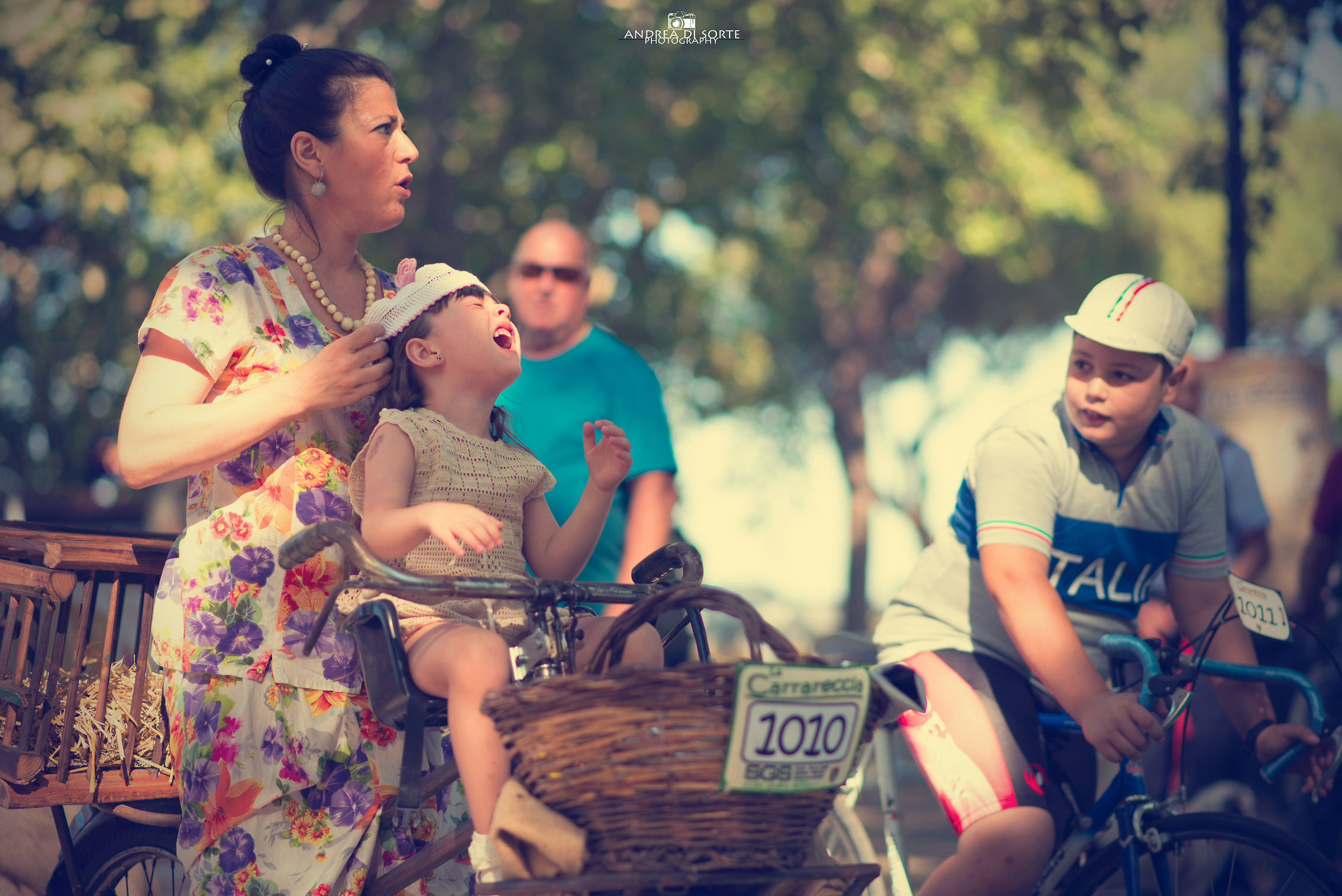 The cart track in 2016