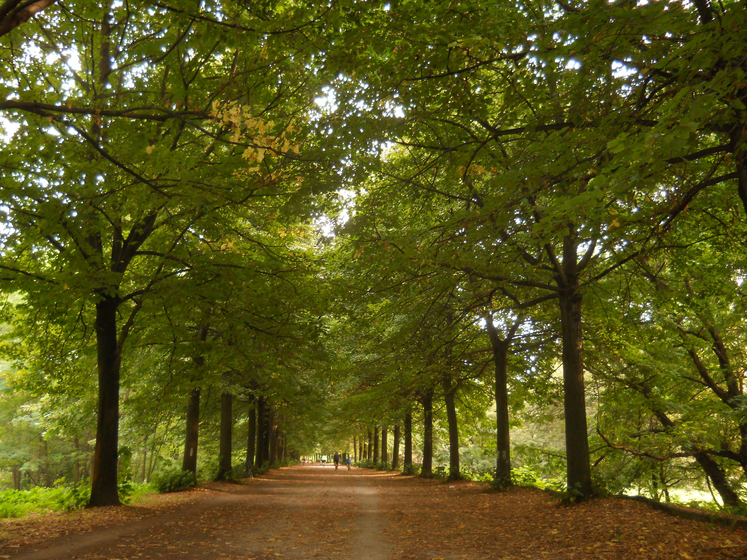 P.co Colletta in Turin