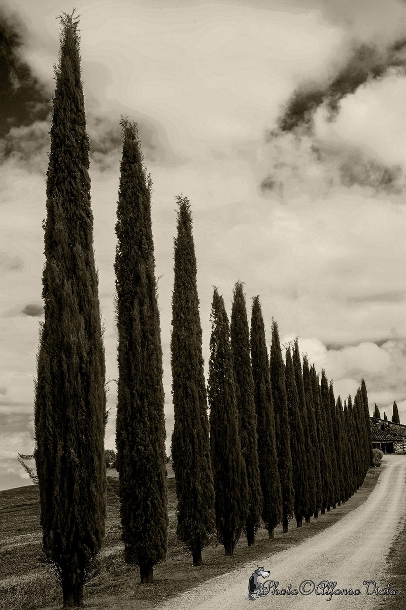 Val d'Orcia Poggio Covilli BW
