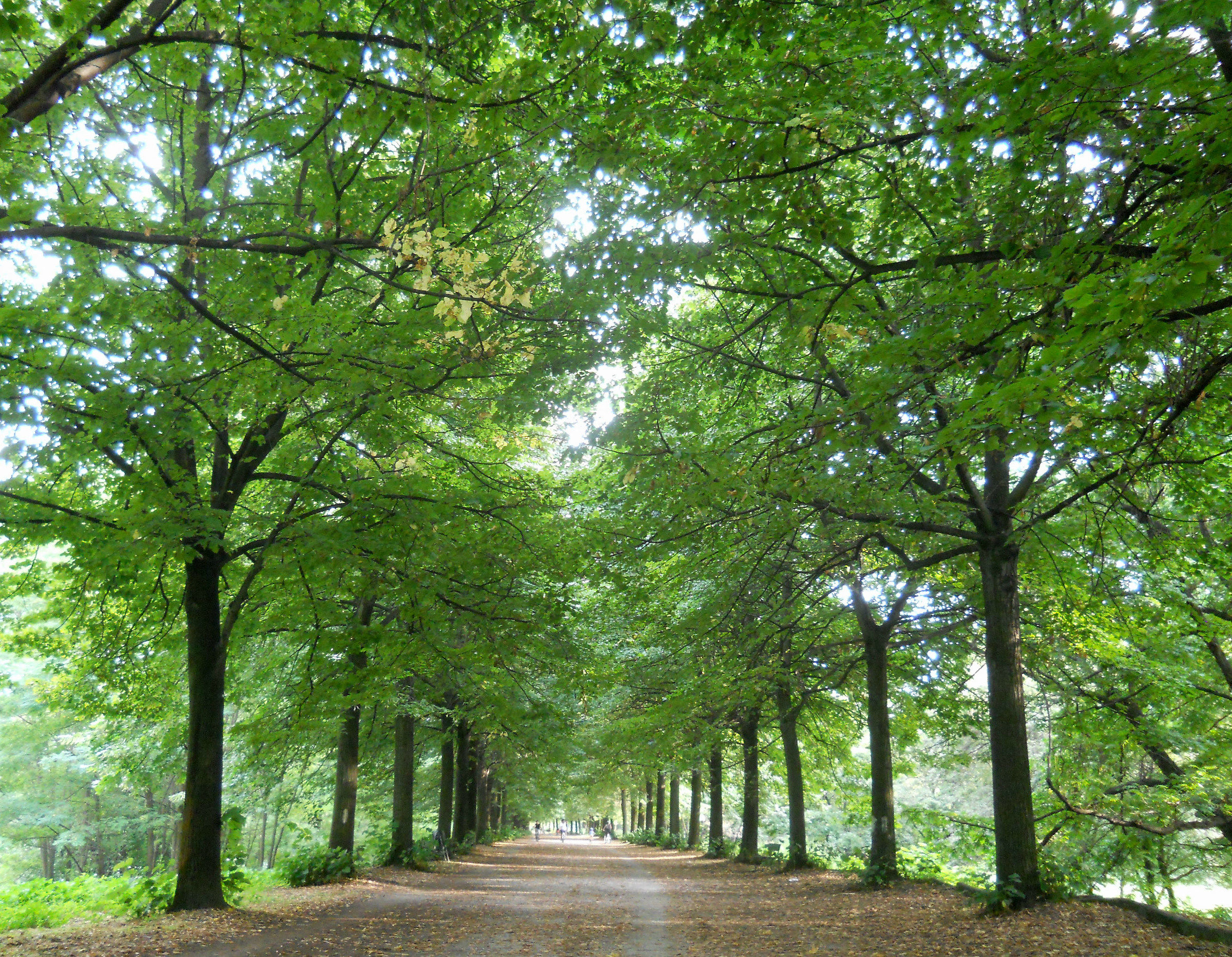 Parco Colletta - Torino