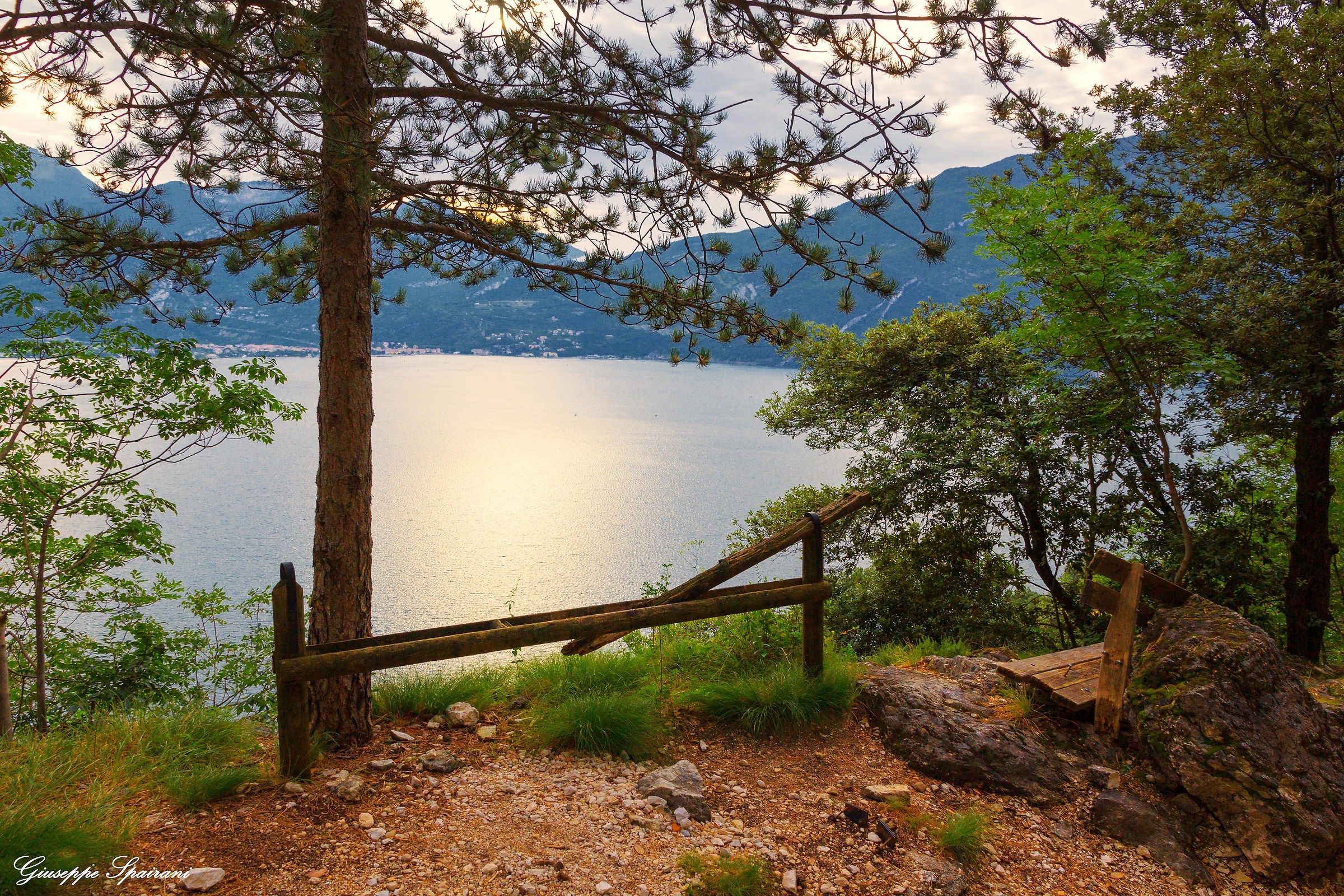 nuova alba sul vecchio sentiero